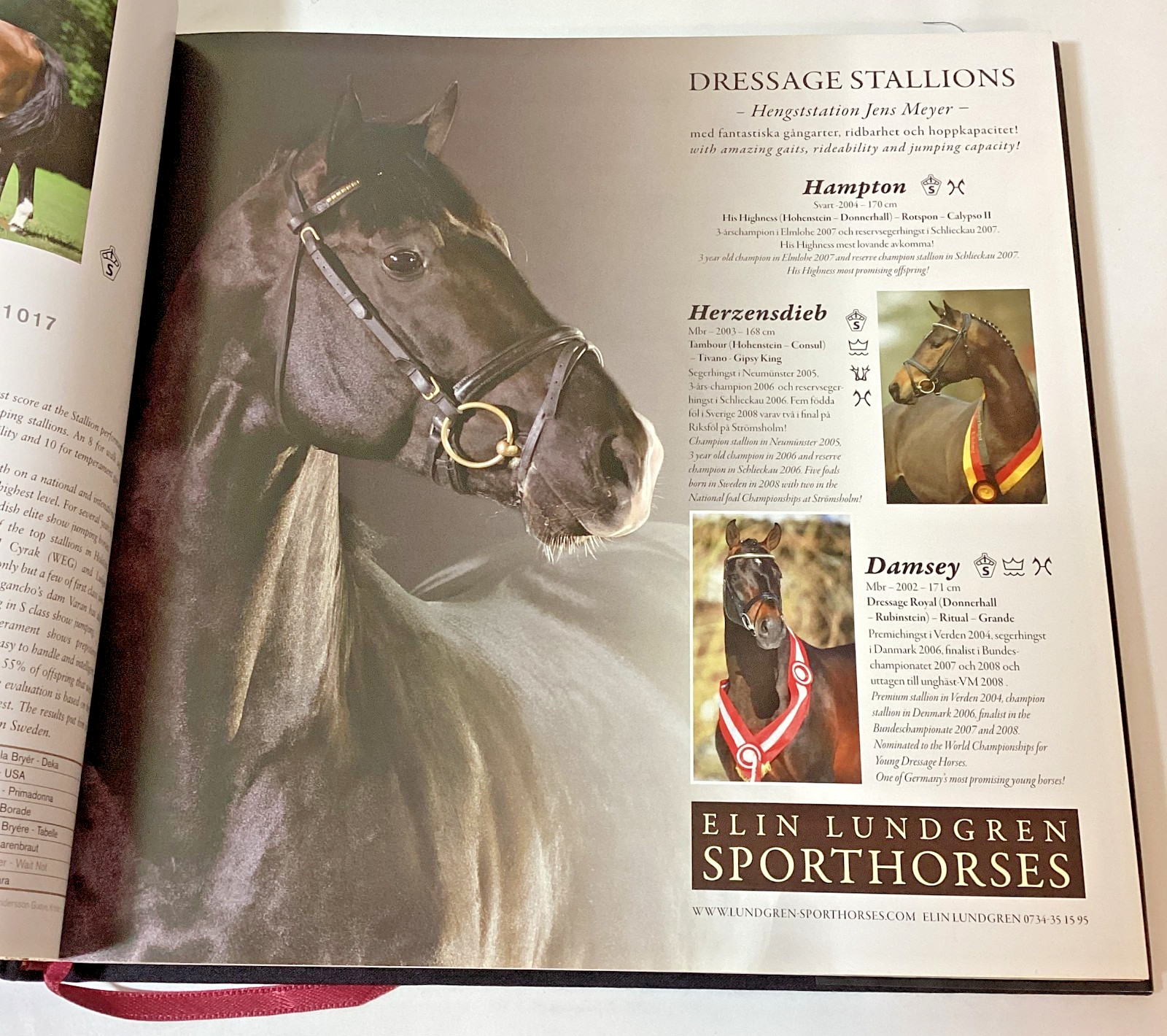 Swedish Horse Book Hingstboken: Hingstar i Svensk Varmblodsavel 2009 Hardcover