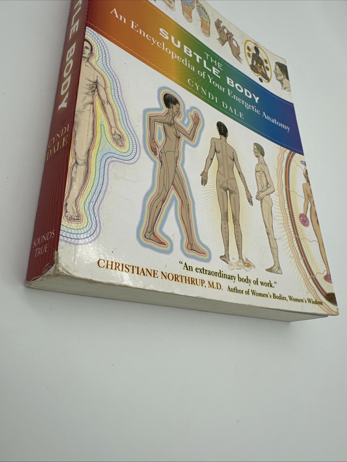 The Subtle Body Encyclopedia of Your Energetic Anatomy Cyndi Dale Paperback 2009