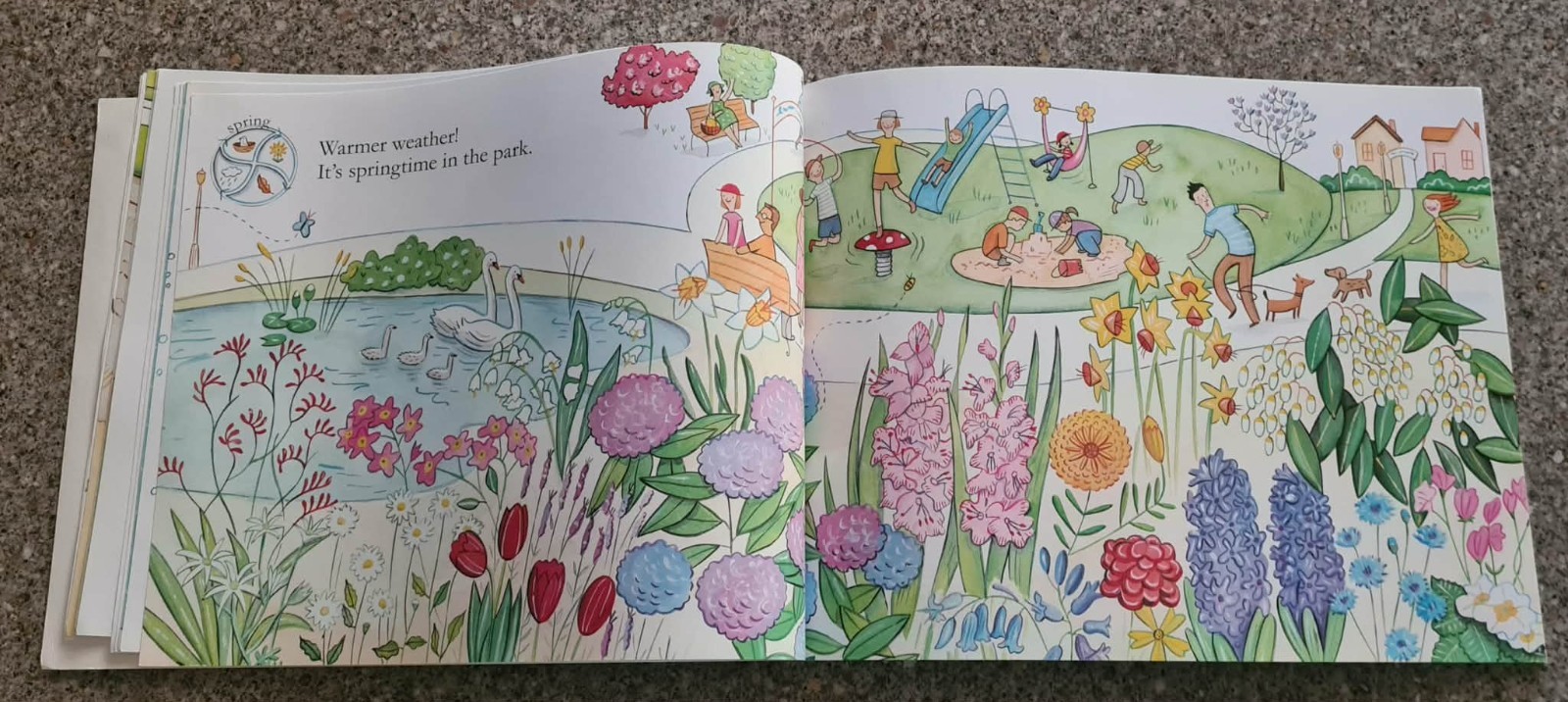 THE ABC KIDS BOOK OF SEASONS ~ HELEN MARTIN / JUDITH SIMPSON ~ Lge SC