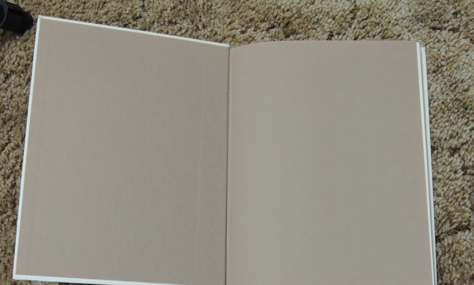 Julia Child & More Company Cookbook 1979 First Edition