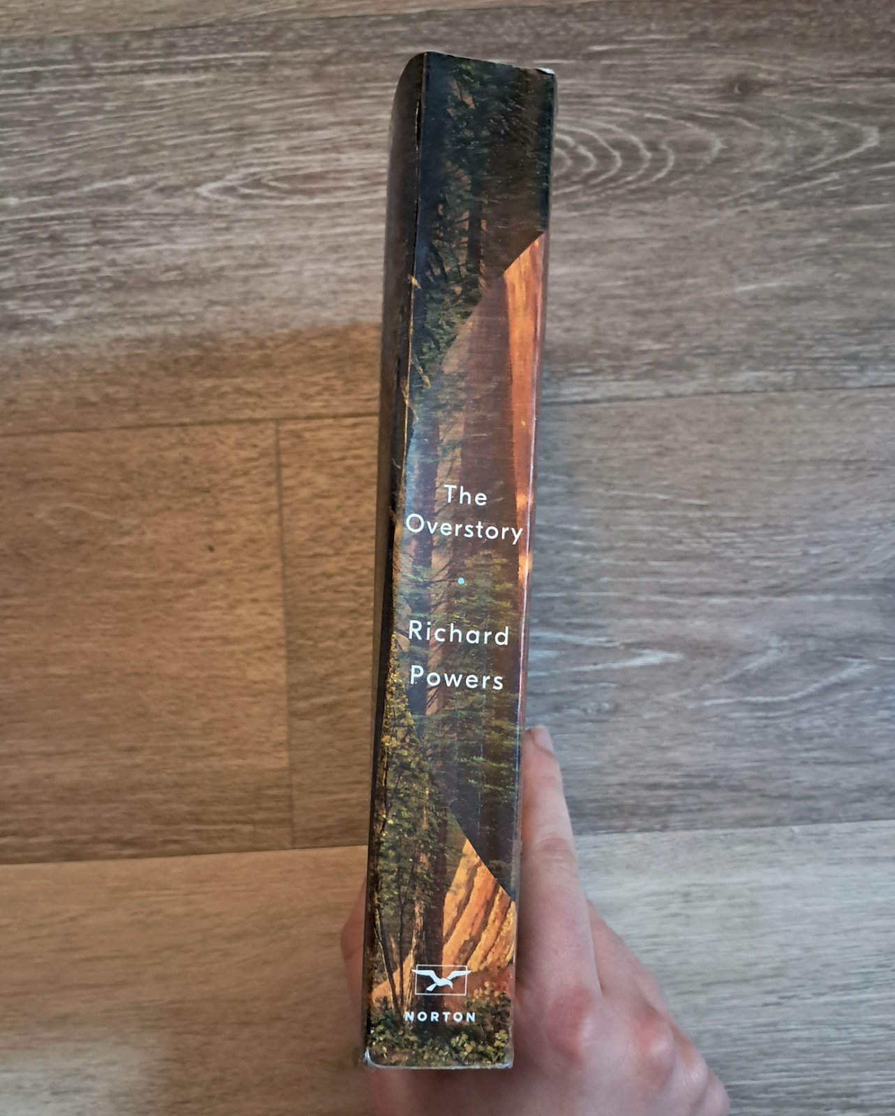 The Overstory : A Novel by Richard Powers (2019, Trade Paperback)