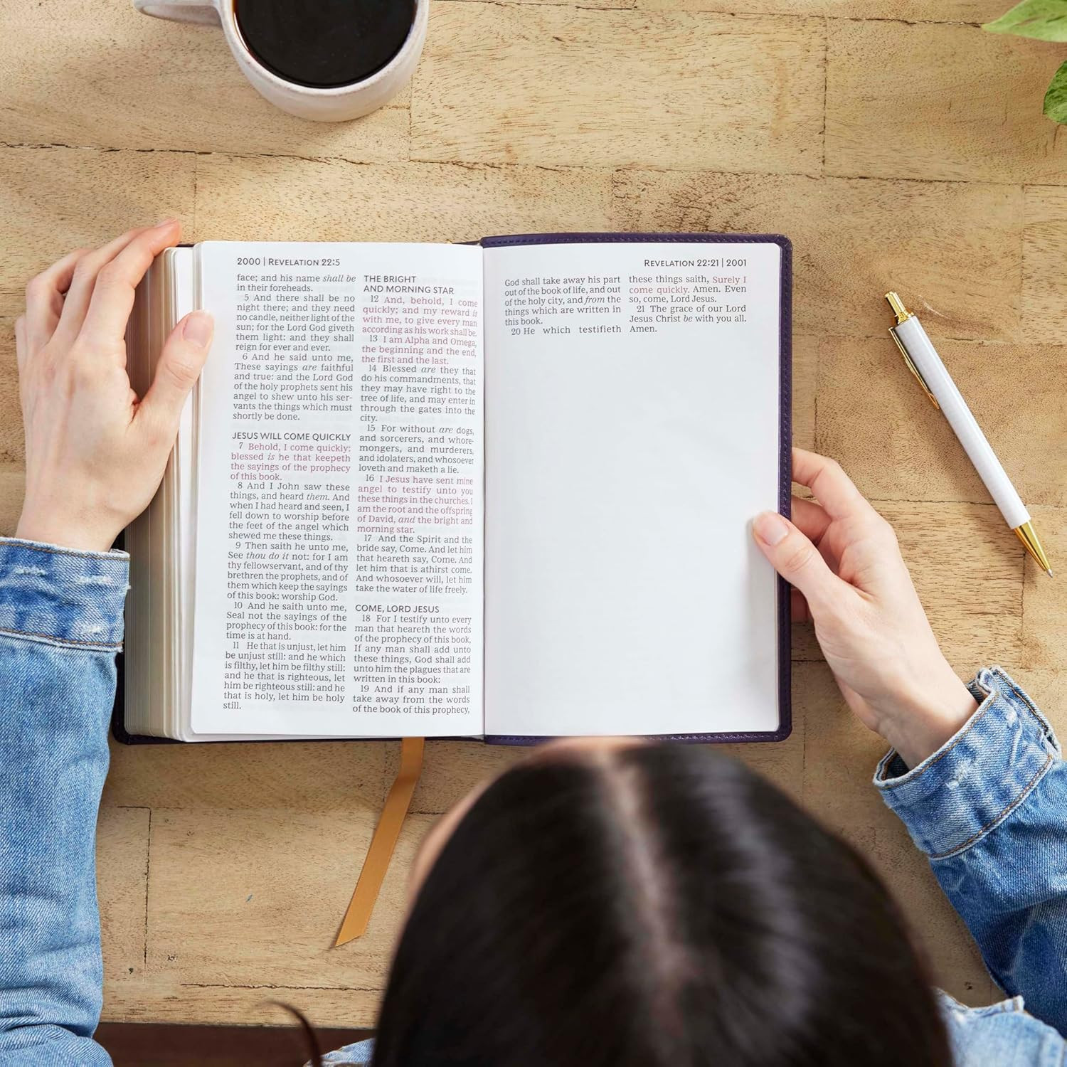 KJV Holy Bible: Personal Size Giant Print, Brown Leathersoft, Red Letter,…