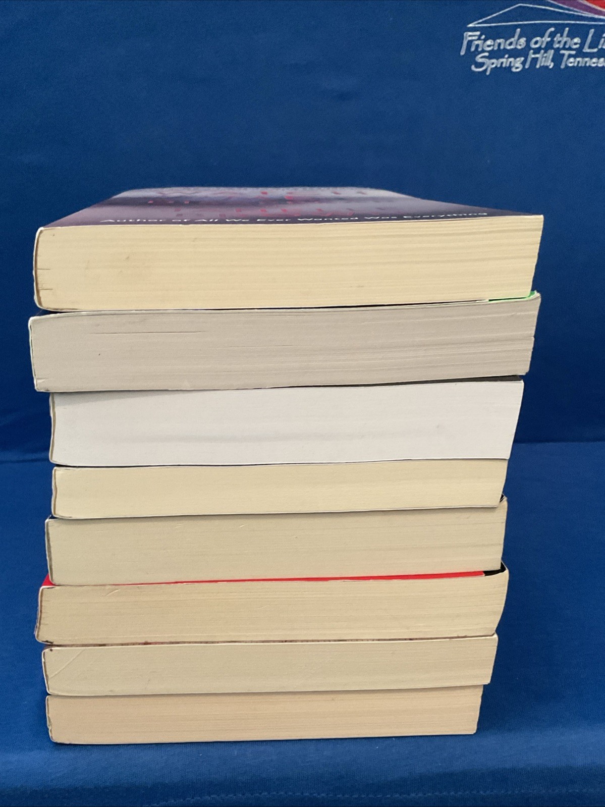Lot of 8 – Suspense, PB by Minka Kent, Janelle Brown, Rachel Abbot & Others