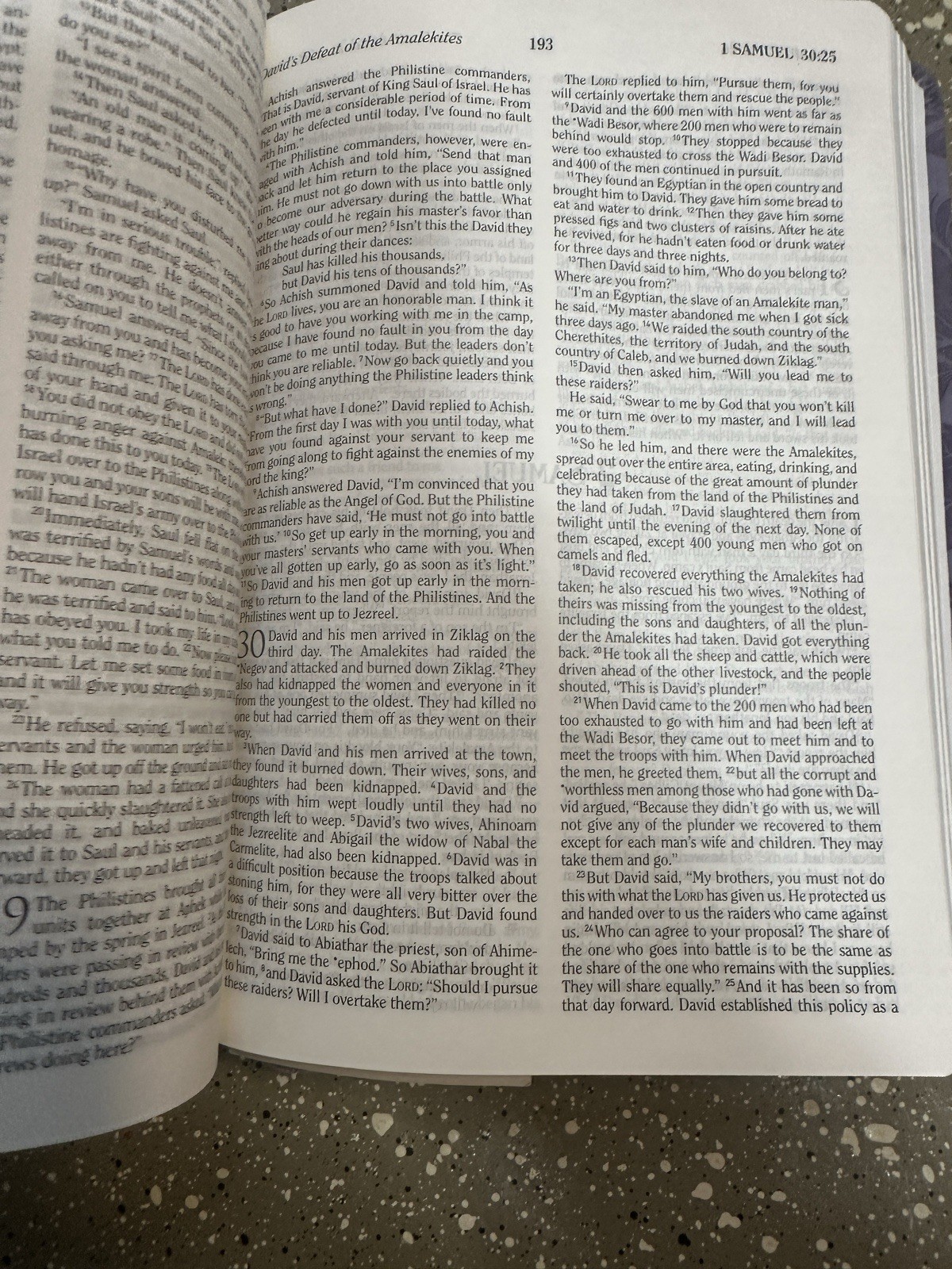 Holman Christian Standard Bible HCSB Personal Size Simulated Leather Lavendar…
