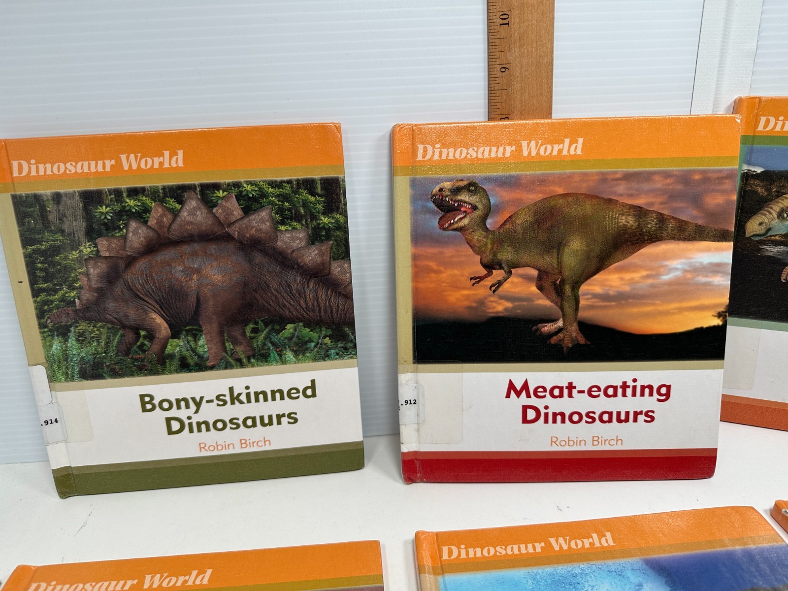Set of 6 Dinosaur World Books Robin Birch Ex-Lib Teacher Homeschool Reading