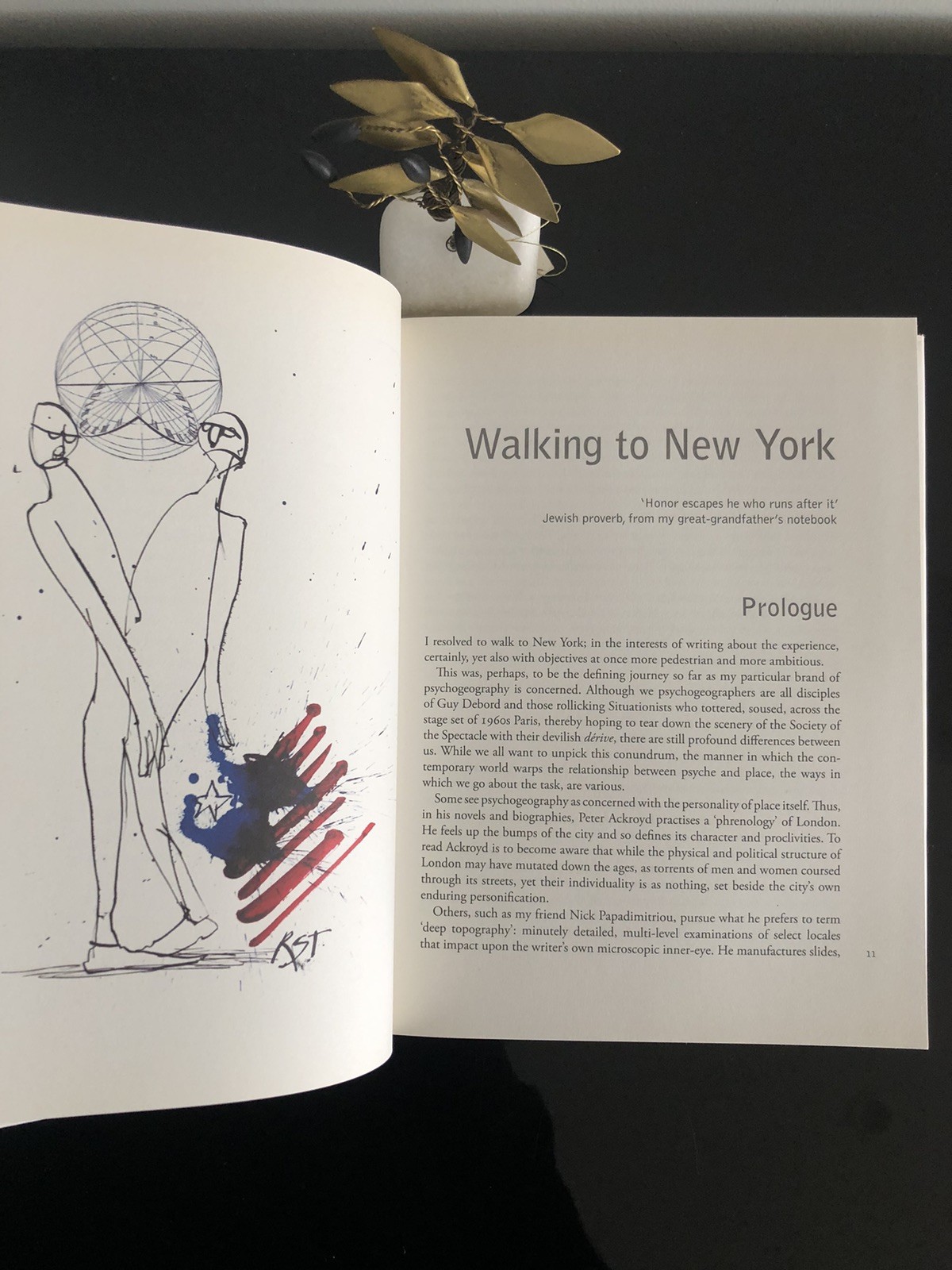 Will Self/Ralph Steadman Psycho Geography Bloomsbury 2007 First Ed/F.Print HC LN