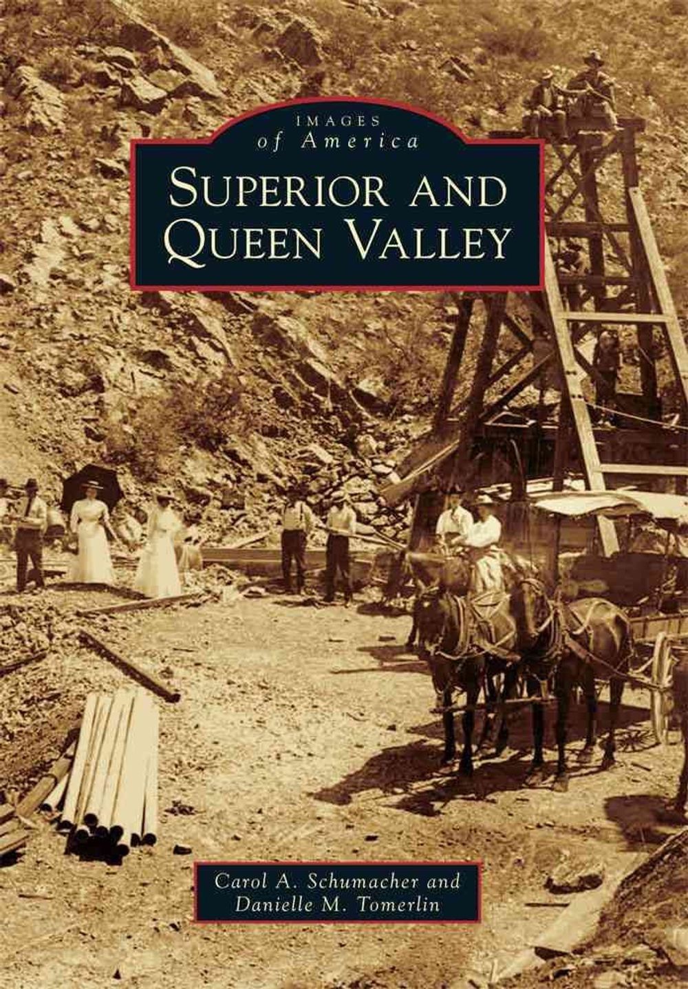 Superior and Queen Valley by Carol A. Schumacher (English) Paperback Book