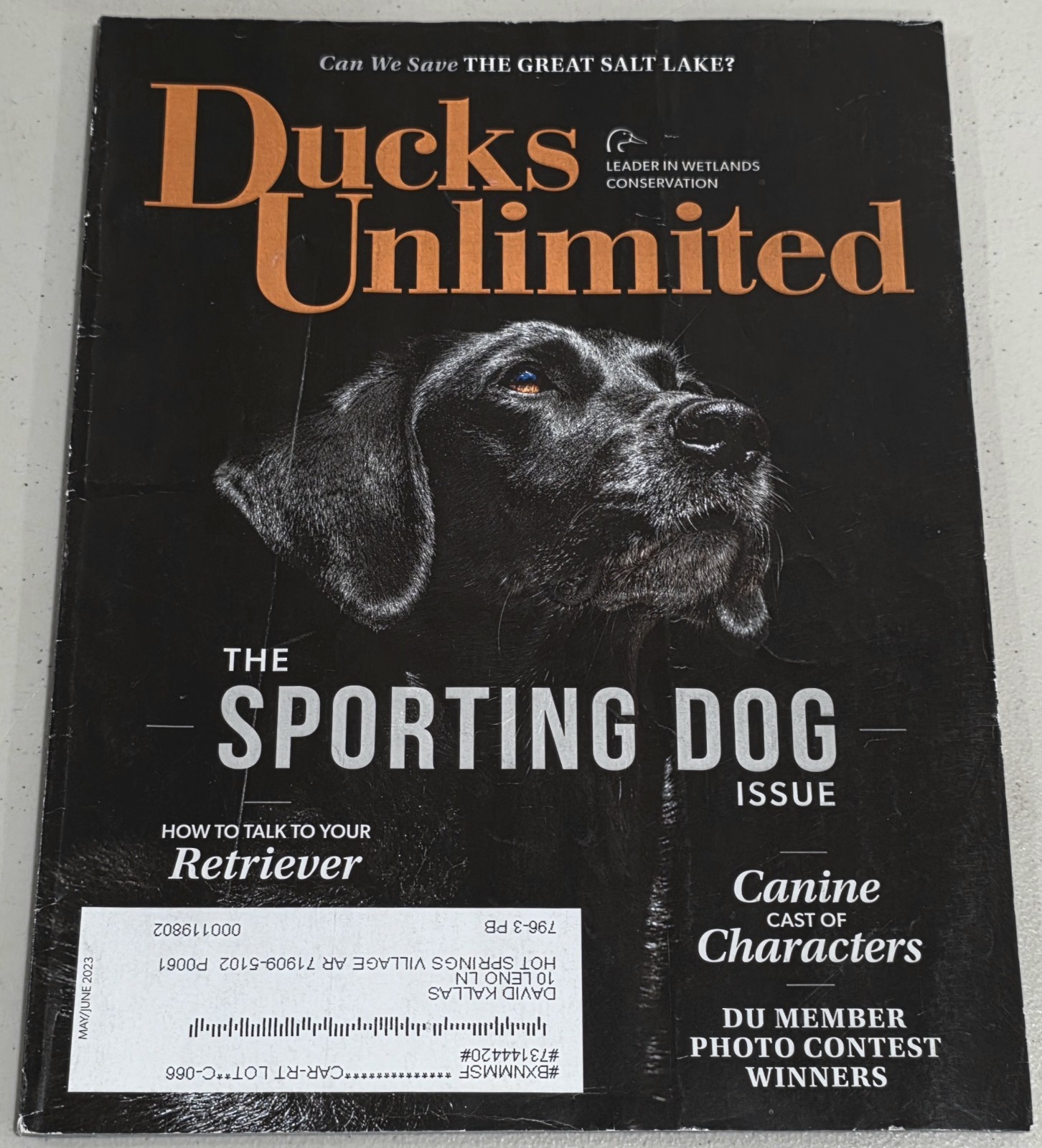 DUCKs UNLIMITED MAGAZINE “The SPORTING DOG ISSUE” 92 Pages May/June 2023
