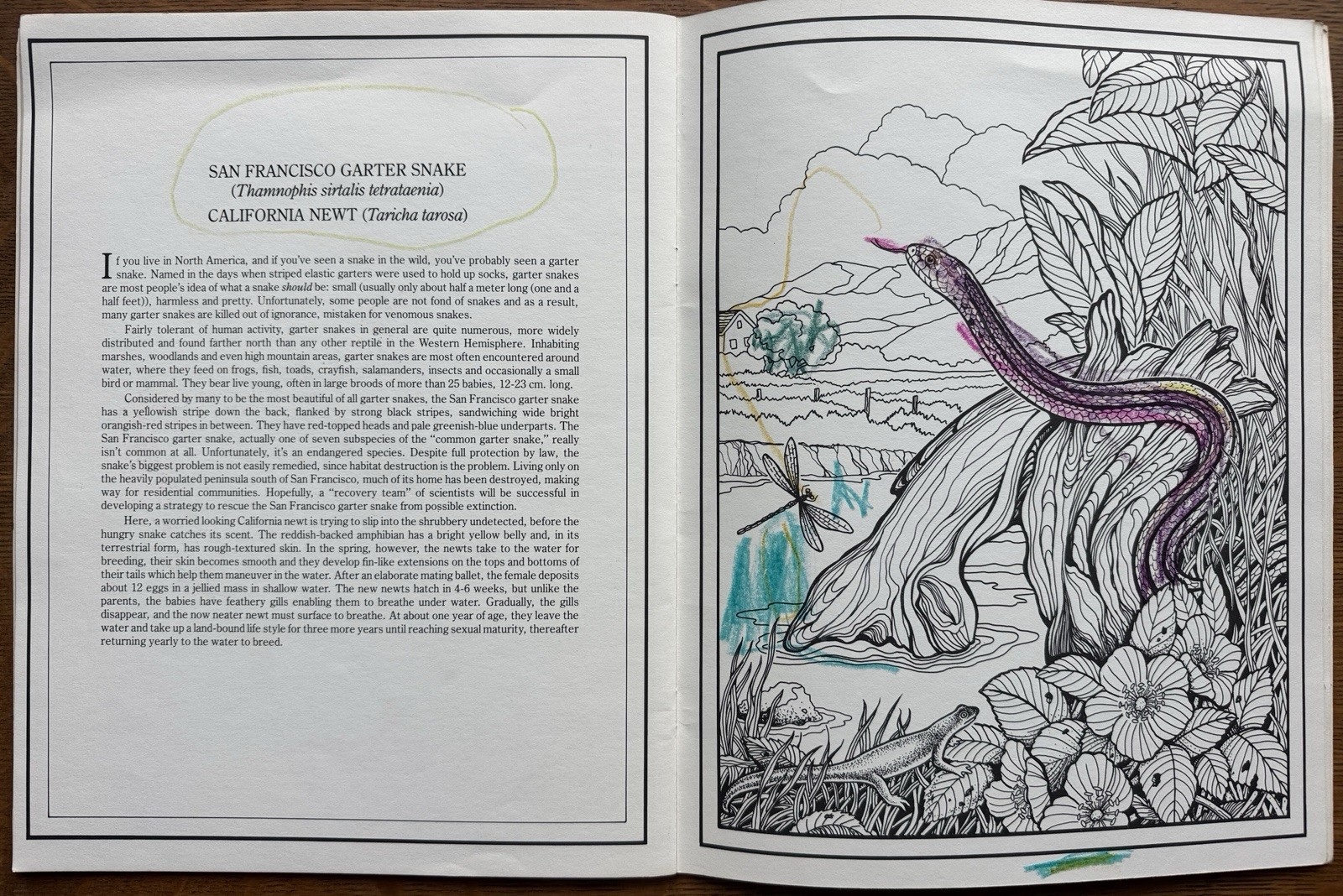 Vintage Dinosaur Book Lot (7) 1970s-90s Scholastic Golden Step-Up How to Draw