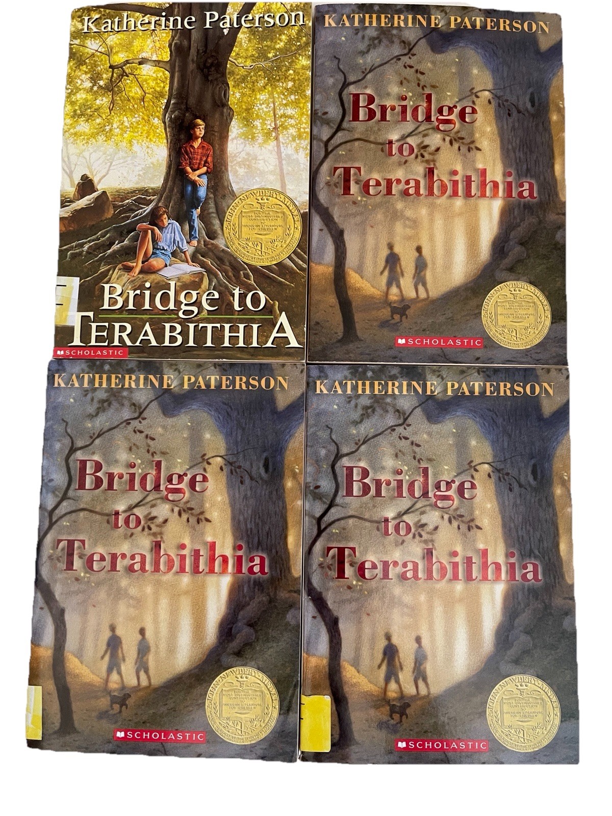 Bridge to Terabithia Lot of 4 Books For Guided Reading paperback Free Shipping
