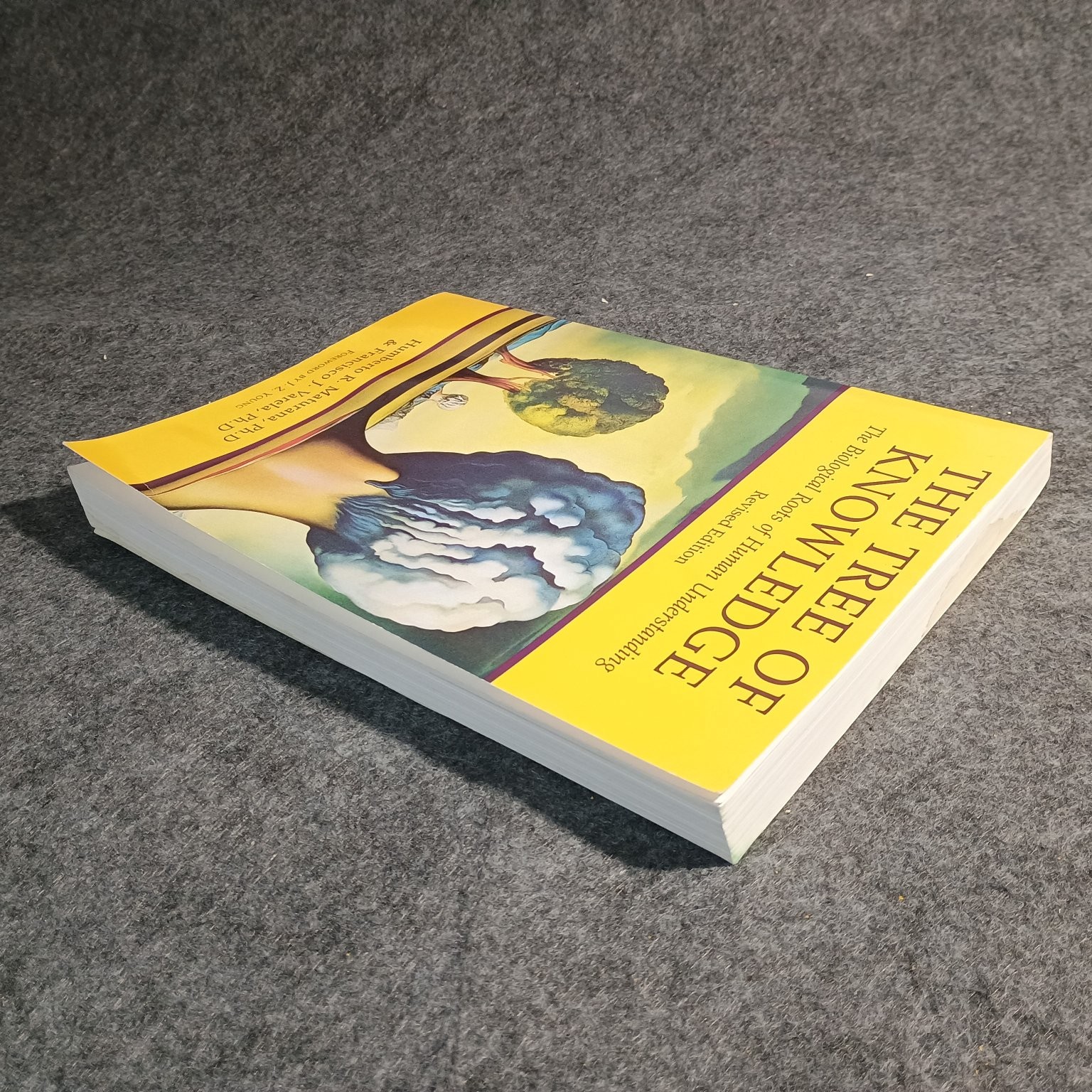 The Tree of Knowledge Maturana Varela 1992 Revised Edition Cognitive Science