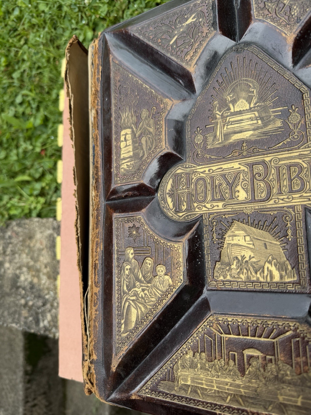 Victorian Holy Bible 1881 FM Dillie Co Cincinnati OH Pictorial Family RARE HEAVY