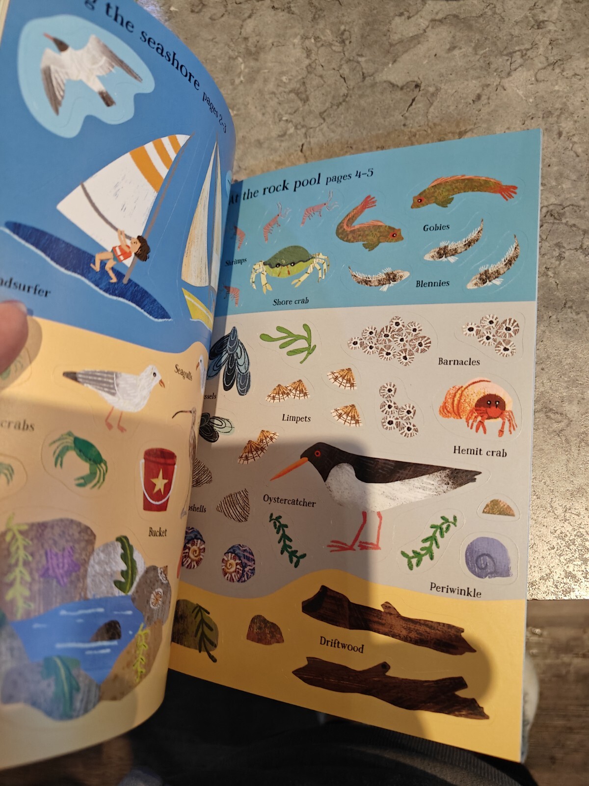 Little First Stickers Seashore – Paperback, by Greenwell Jessica – New