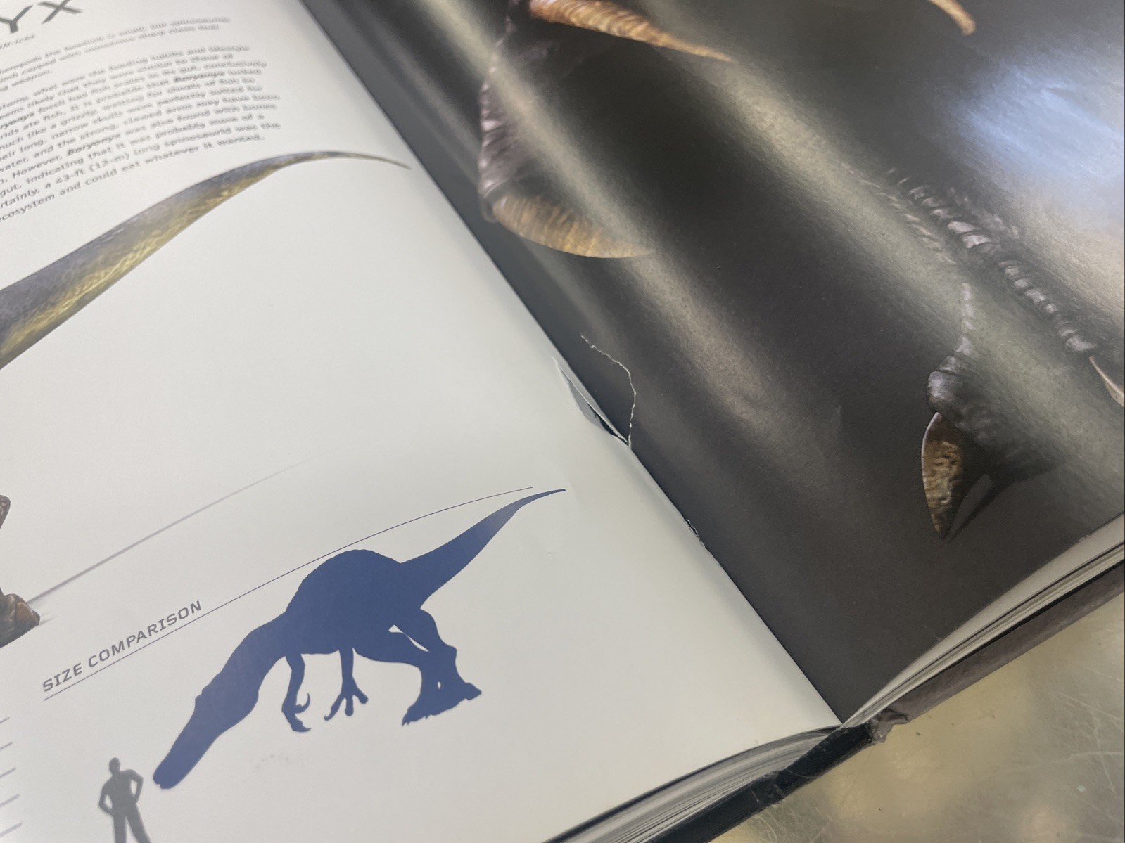 Dinosaurs by Benton, Dr Michael Hardback Book The Fast Free Shipping