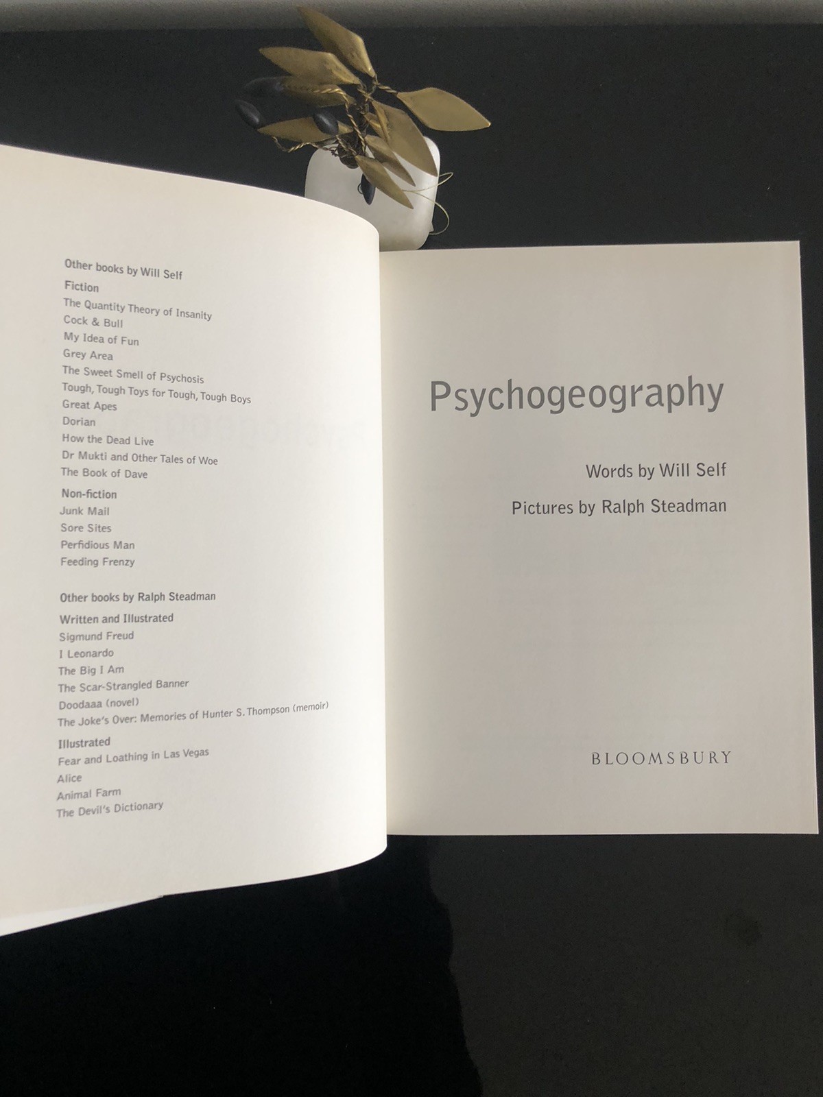 Will Self/Ralph Steadman Psycho Geography Bloomsbury 2007 First Ed/F.Print HC LN