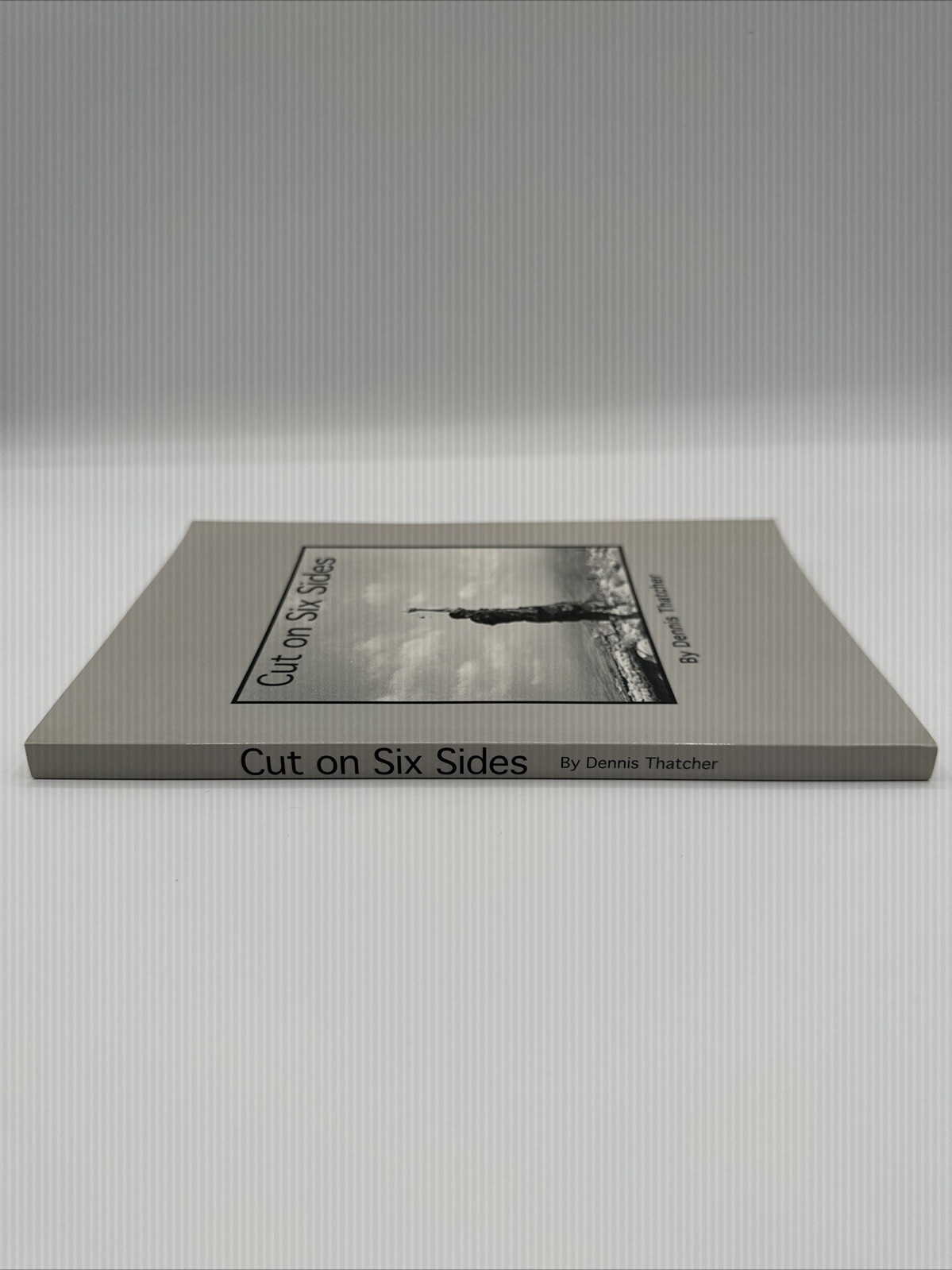 Cut On Six Sides Rare Vietnam Ohio Dennis Thatcher Paperback 1999 192 Pages