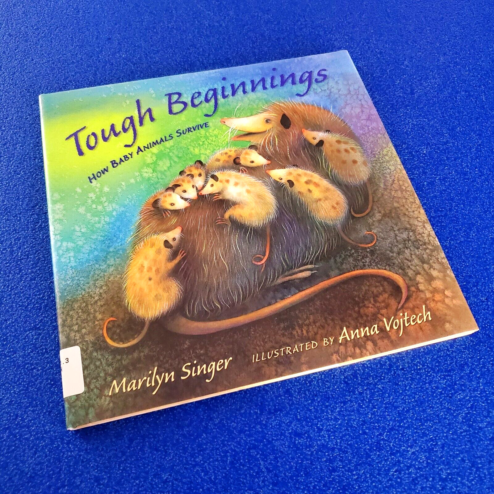 TOUGH BEGINNINGS HOW BABY ANIMALS SURVIVE HARDCOVER CHILDREN’S PICTURE BOOK