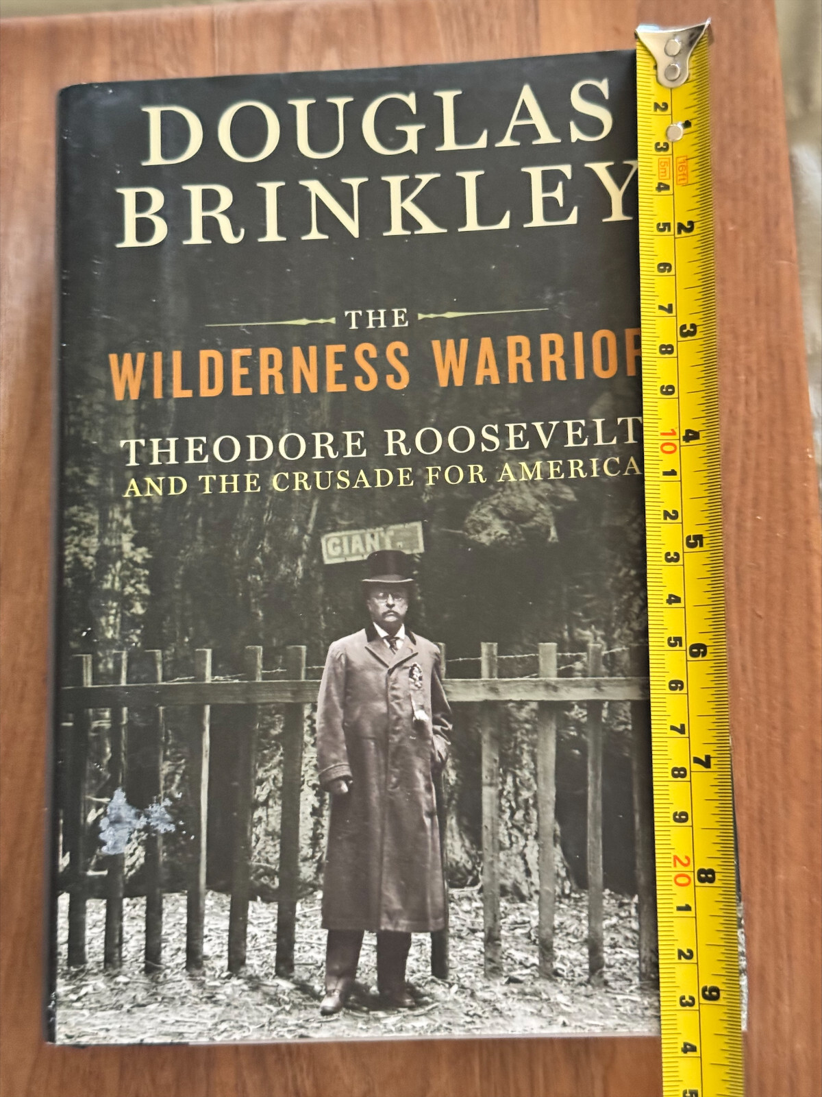 The Wilderness Warrior Theodore Roosevelt Biography By Douglas Brinkley HC