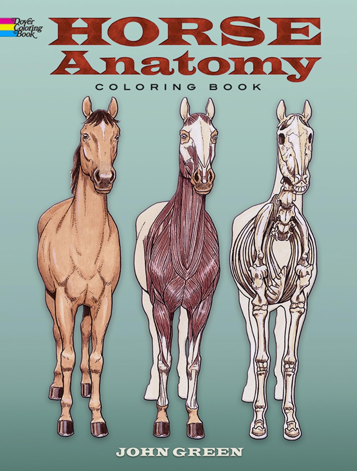 Horse Anatomy Coloring Book: Hands-On STEM Learning for Kids (AND Adults!)…