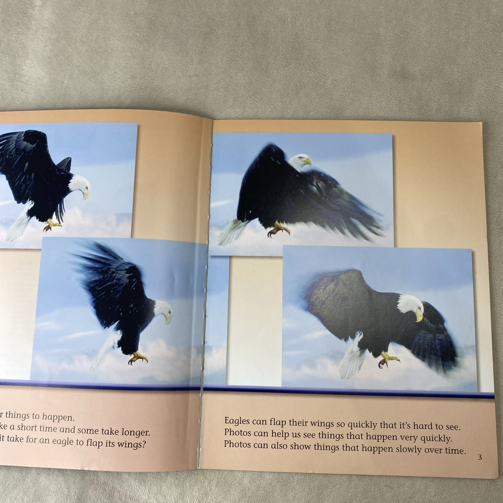 Lot of 10 Steck-Vaughn Shutterbug Books: Leveled Reader Grades K – 1 Science