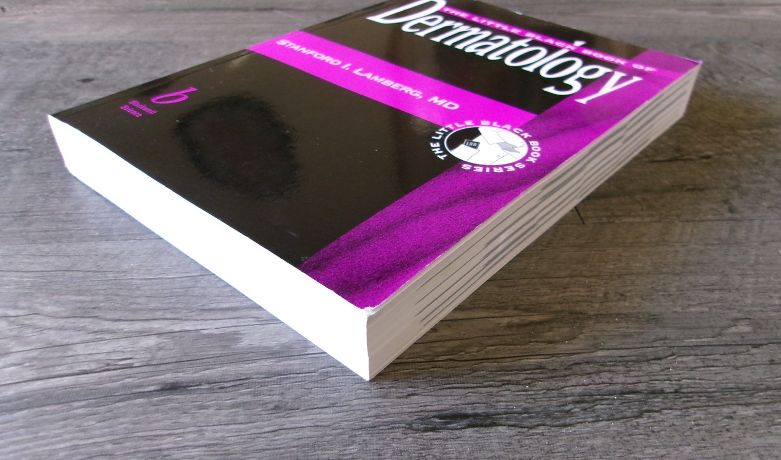 Little Black Book of Dermatology by Stanford I. Lamberg MD Primary Health 2000