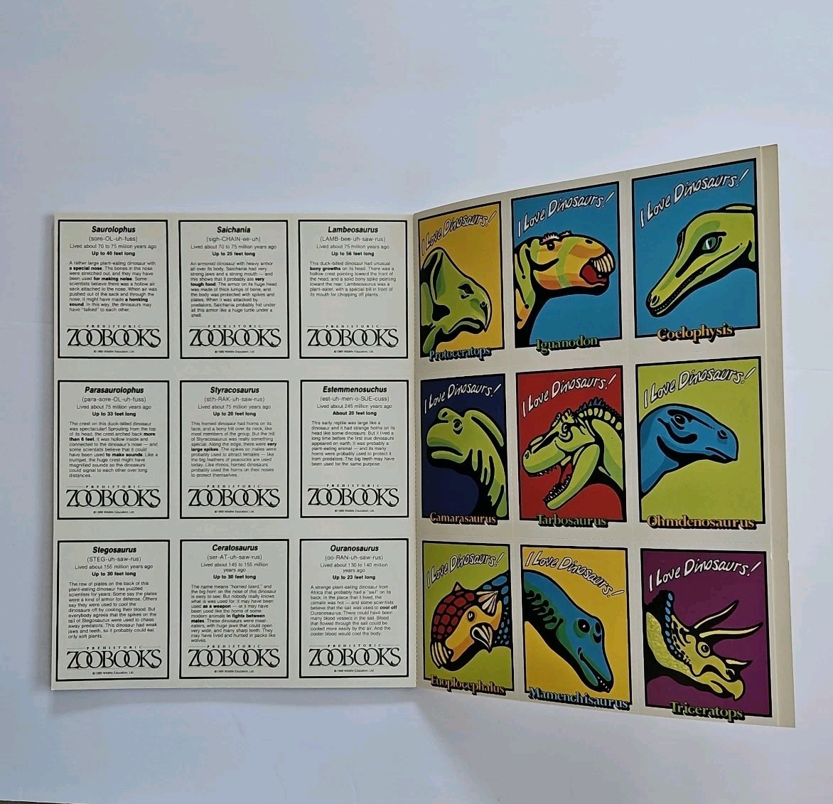 Zoobooks Prehistoric Family Activity Guide Unused W/18 Zoobooks Dinosaur Cards
