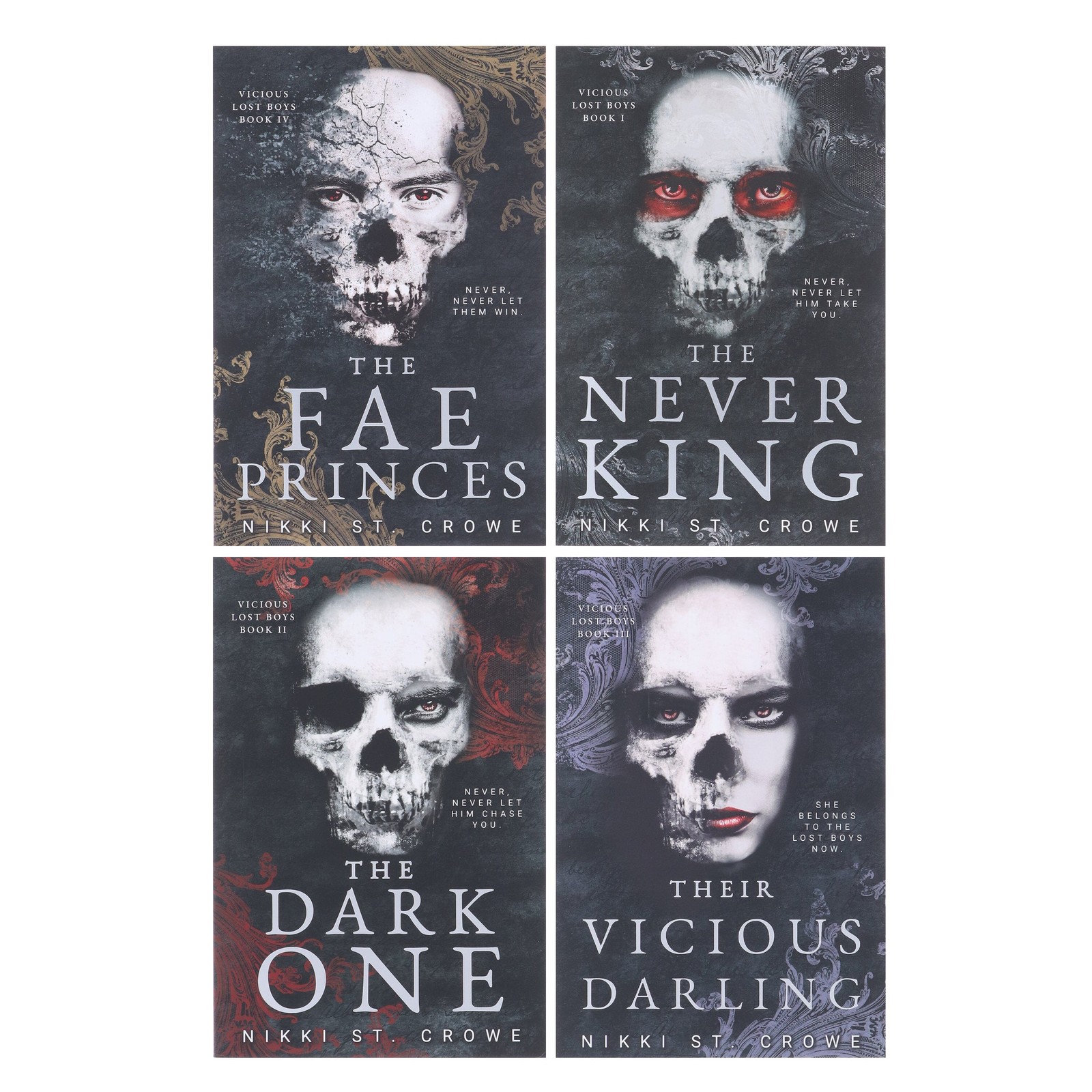 Vicious Lost Boys Series: A Peter Pan Dark Romance 4 Books Set – Fic – PB