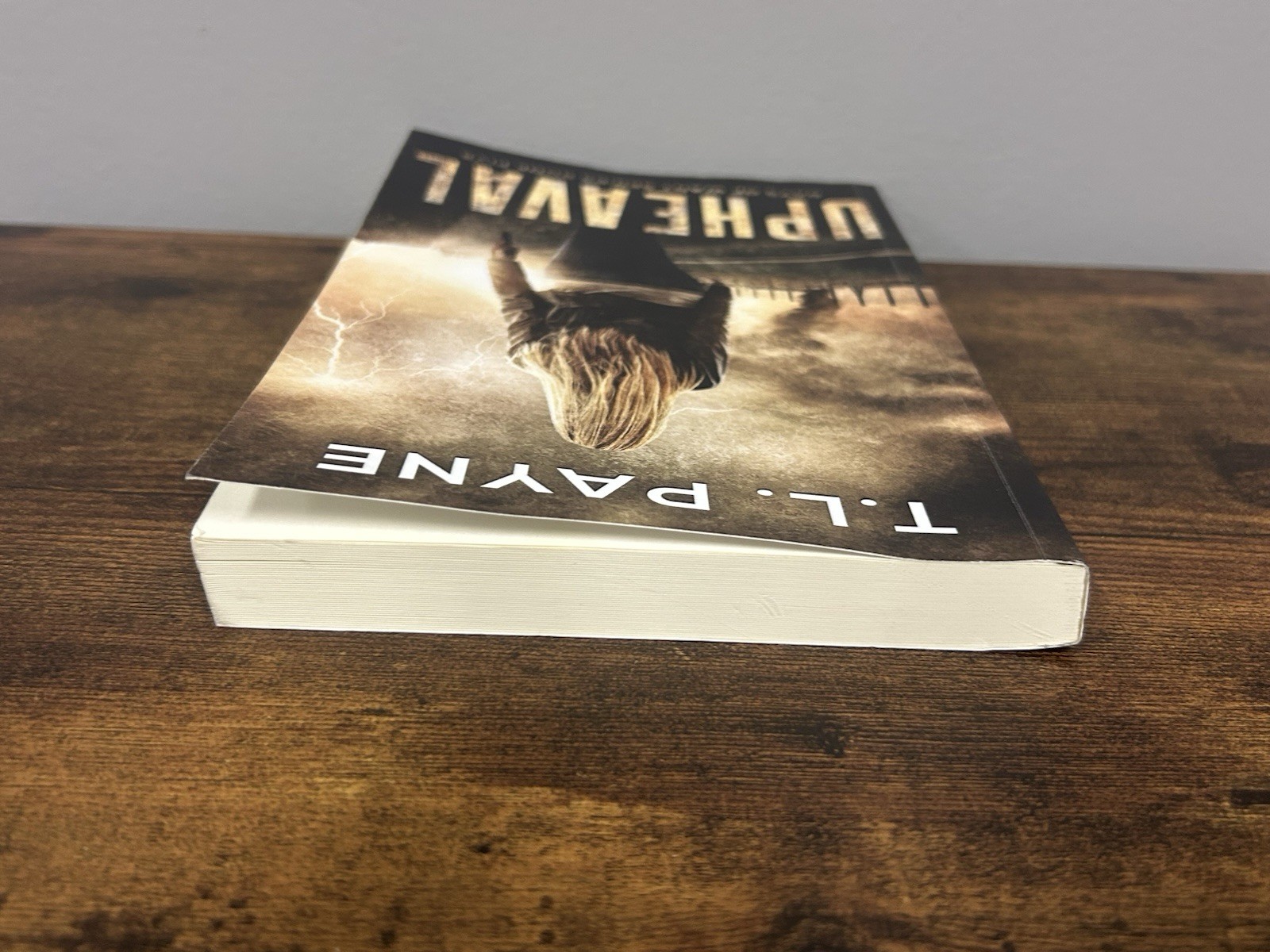 Upheaval: A Post Apocalyptic EMP Survival Thriller (Days of Want Book Five)