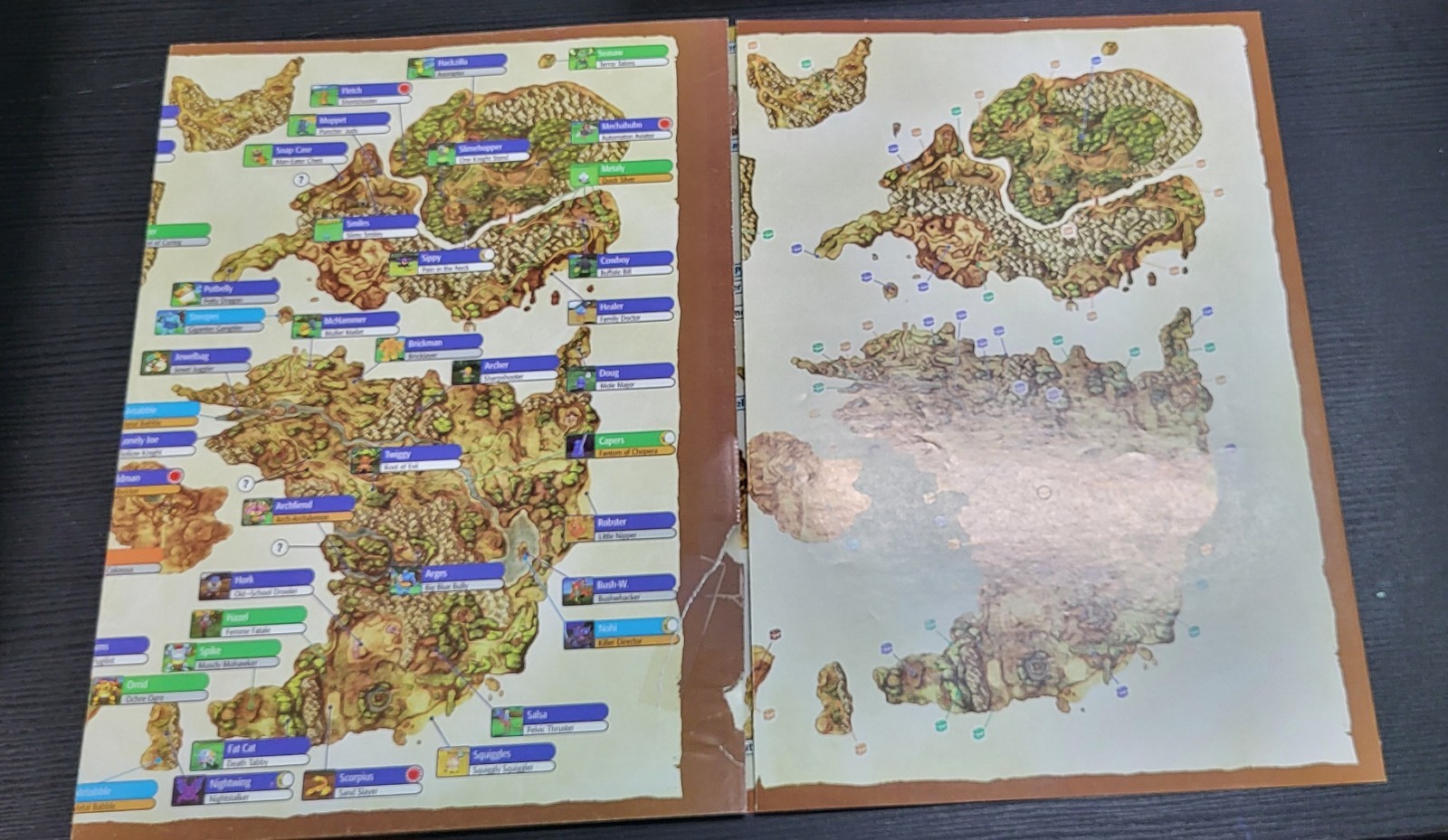 Dragon Quest VIII Journey of the Cursed King Strategy Guide w/ Exclusive Foldout