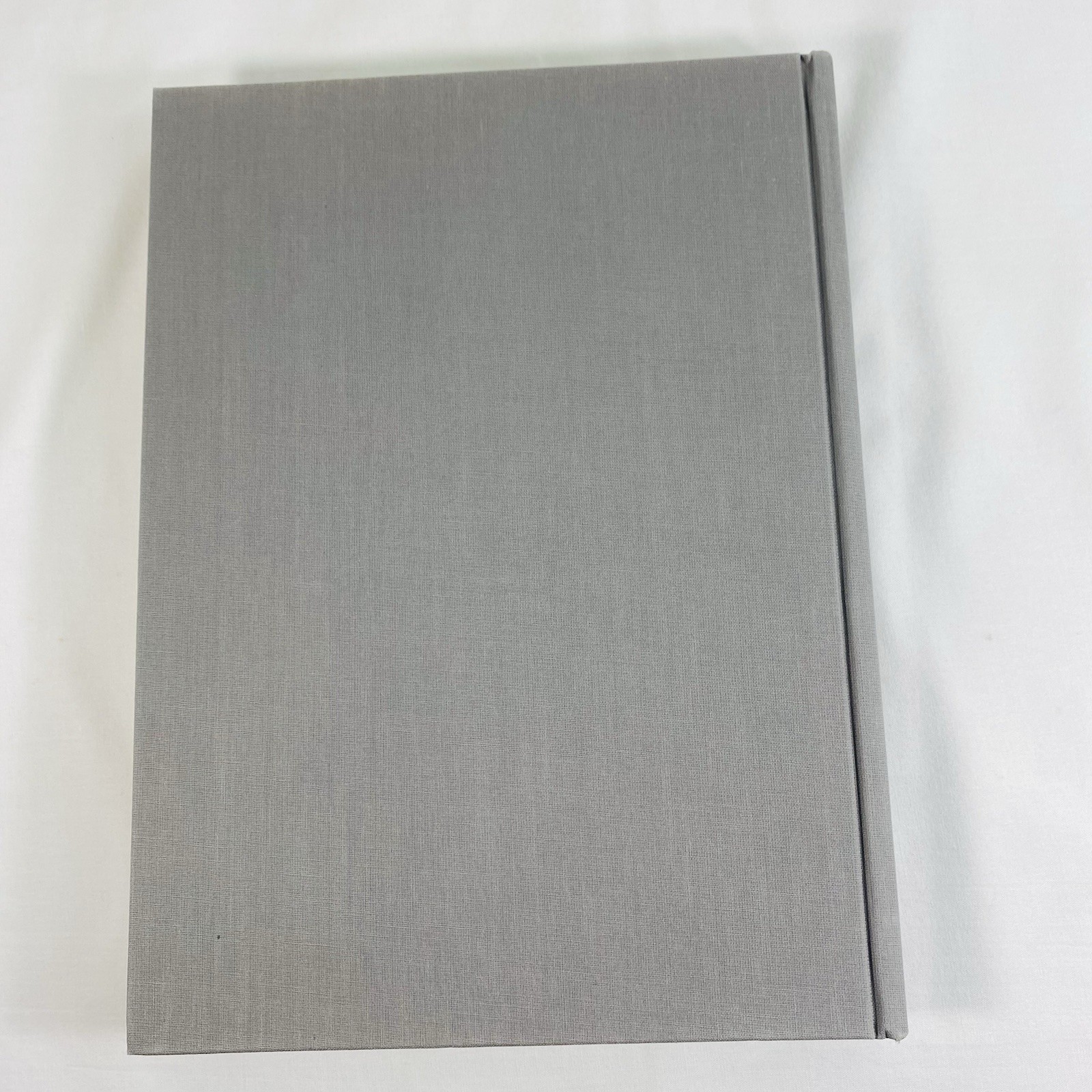 Czech Cubism: Architecture, Furniture, Decorative Arts, 1910-1925 – Hardcover
