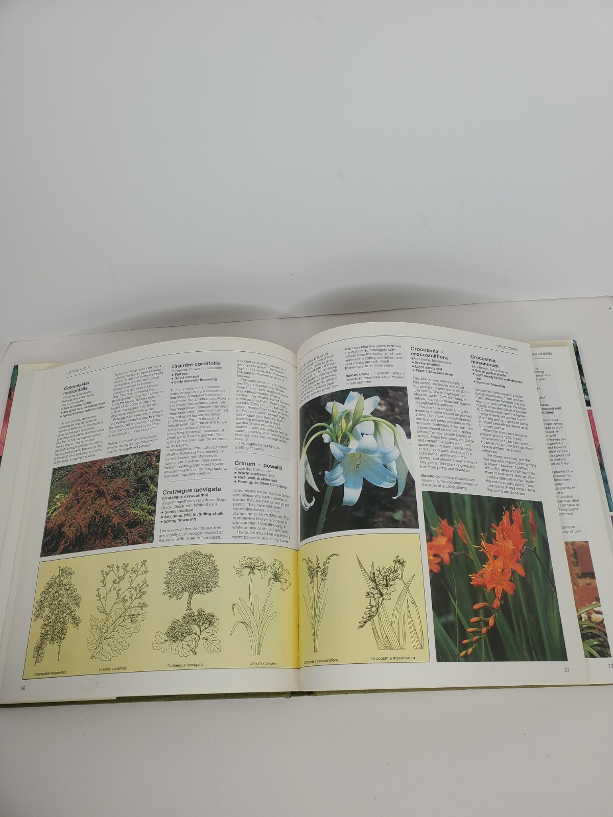 The Gardener’s Guide – Hardcover By Squire, David – GOOD