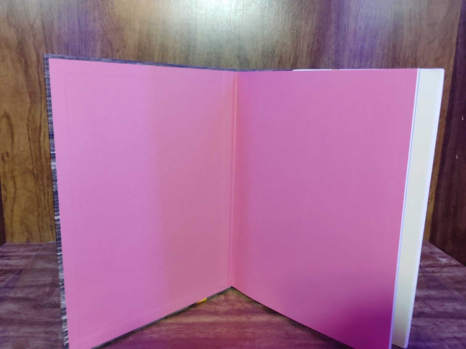Perfect Picture Book Pencil Eraser Max Amato Scholastic Press HC 2019