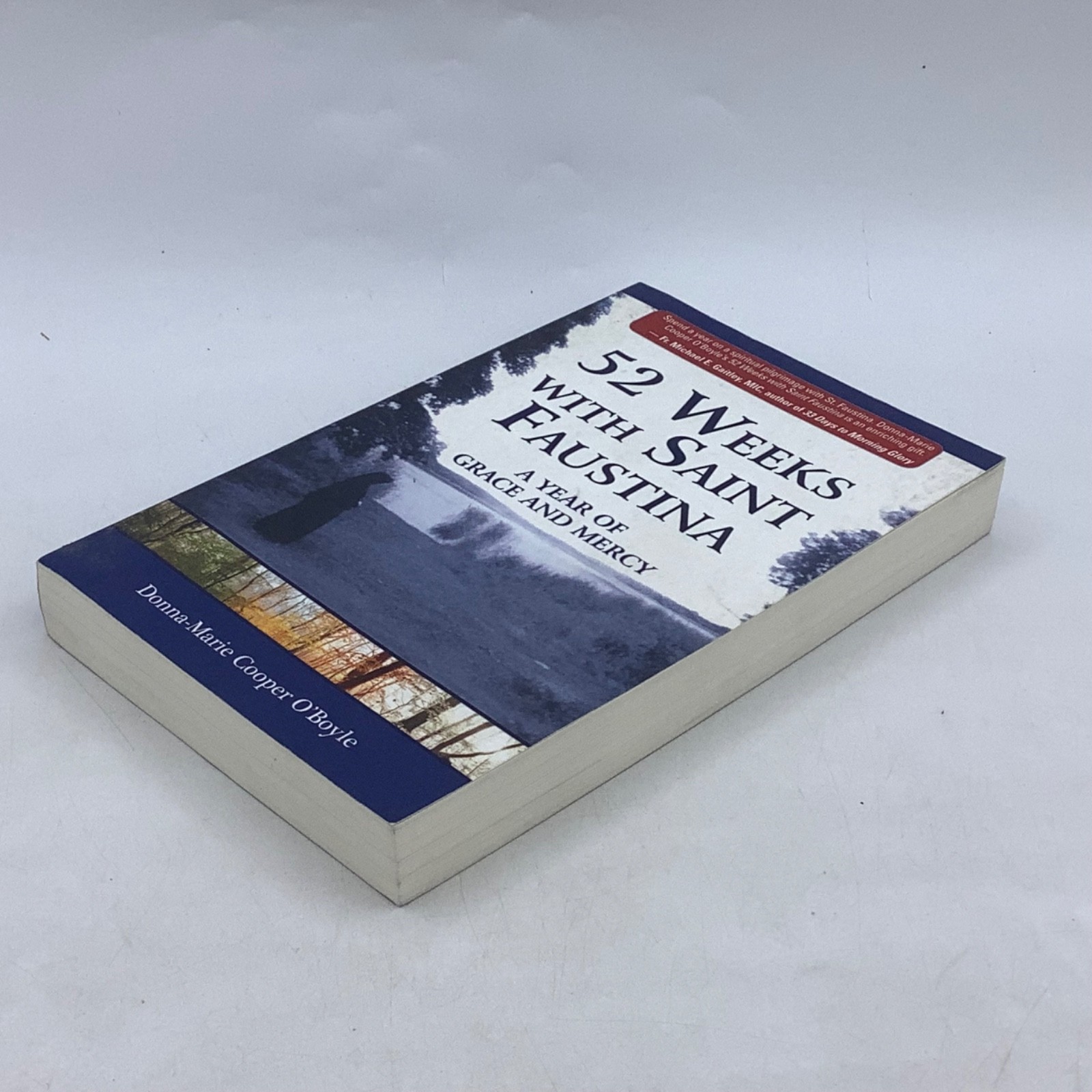 52 Weeks with Saint Faustina A Year of Grace and Mercy by Donna Marie O’Boyle PB