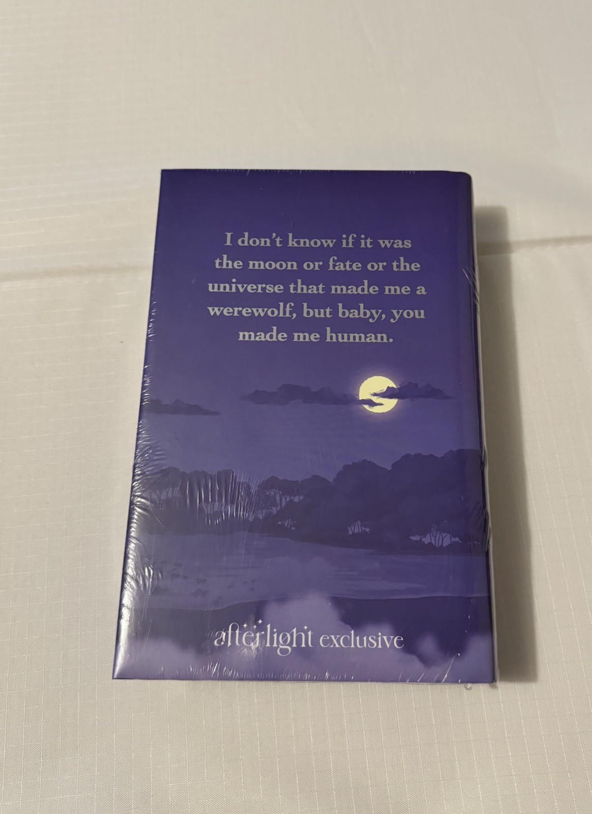 Afterlight Illumicrate Fan Service by Rosie Danan – March 2025 “Down Bad” Book