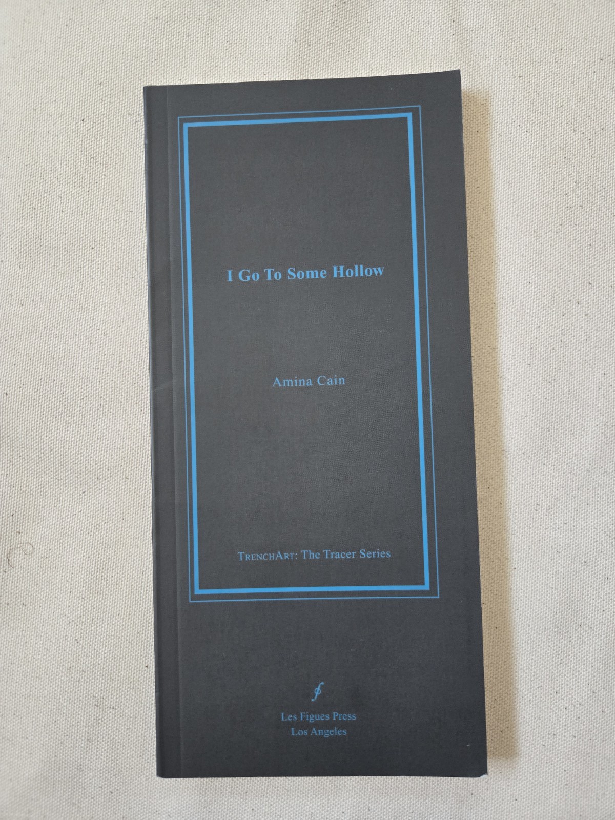 I Go To Some Hollow by Amina Cain, Trade Paperback 2009 Les Figues Press Fiction