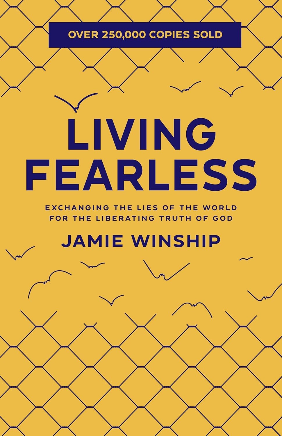 Living Fearless Paperback By Jamie Winship