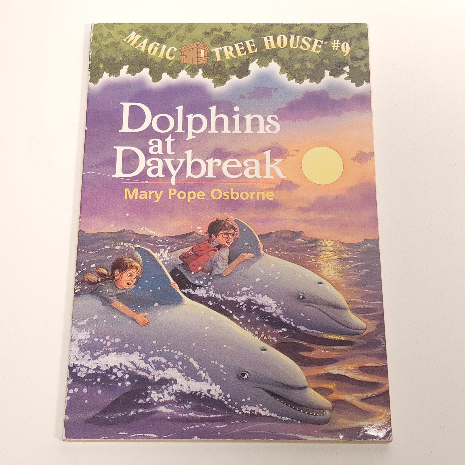 Magic Tree House Lot 9 Chapter Books Mary Pope Osborne 2 3 8 9 10 13 16 19 23