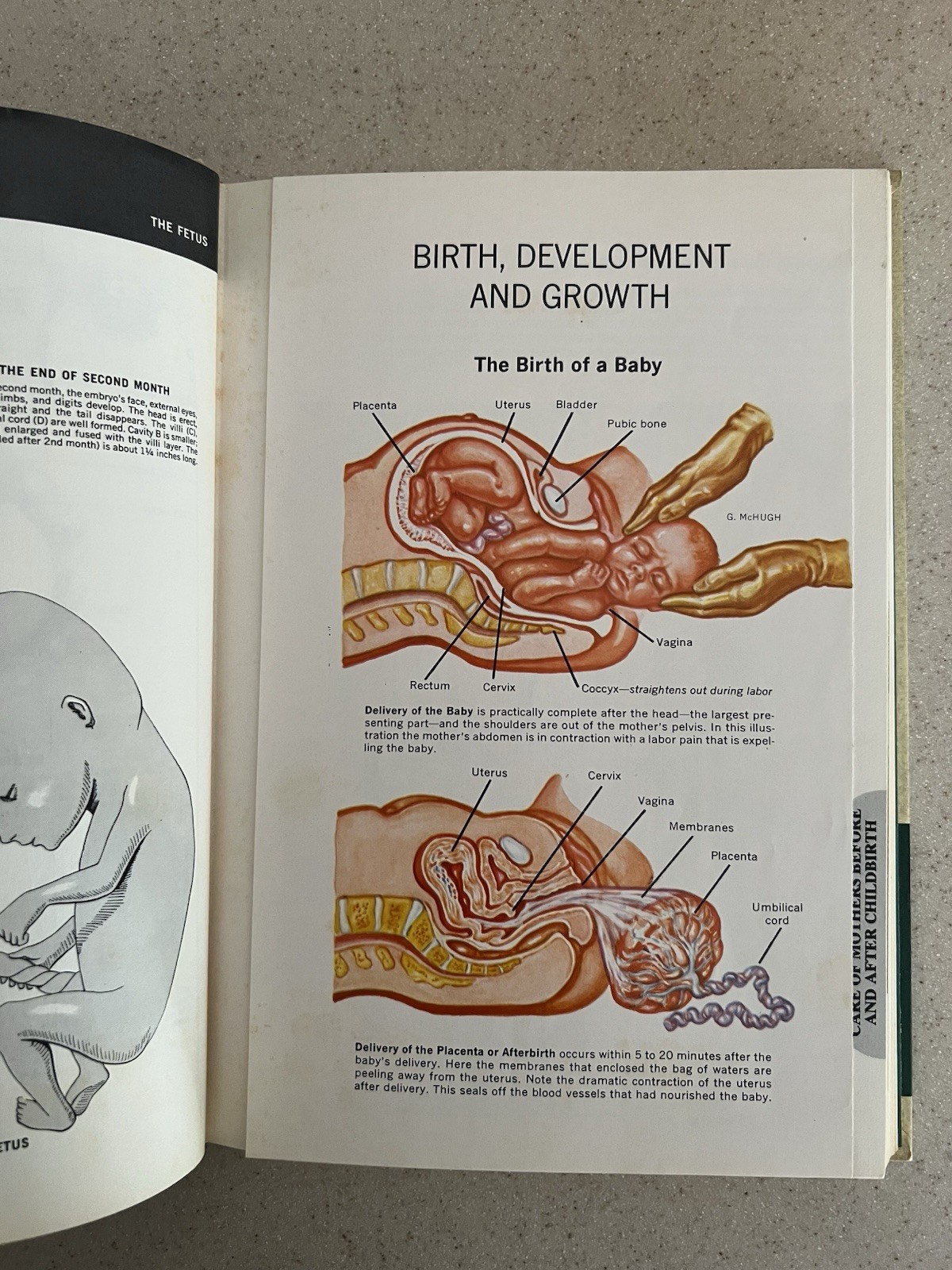 Vtg 1964 The New Illustrated Medical & Health Encyclopedia 1-14 Complete Set HB