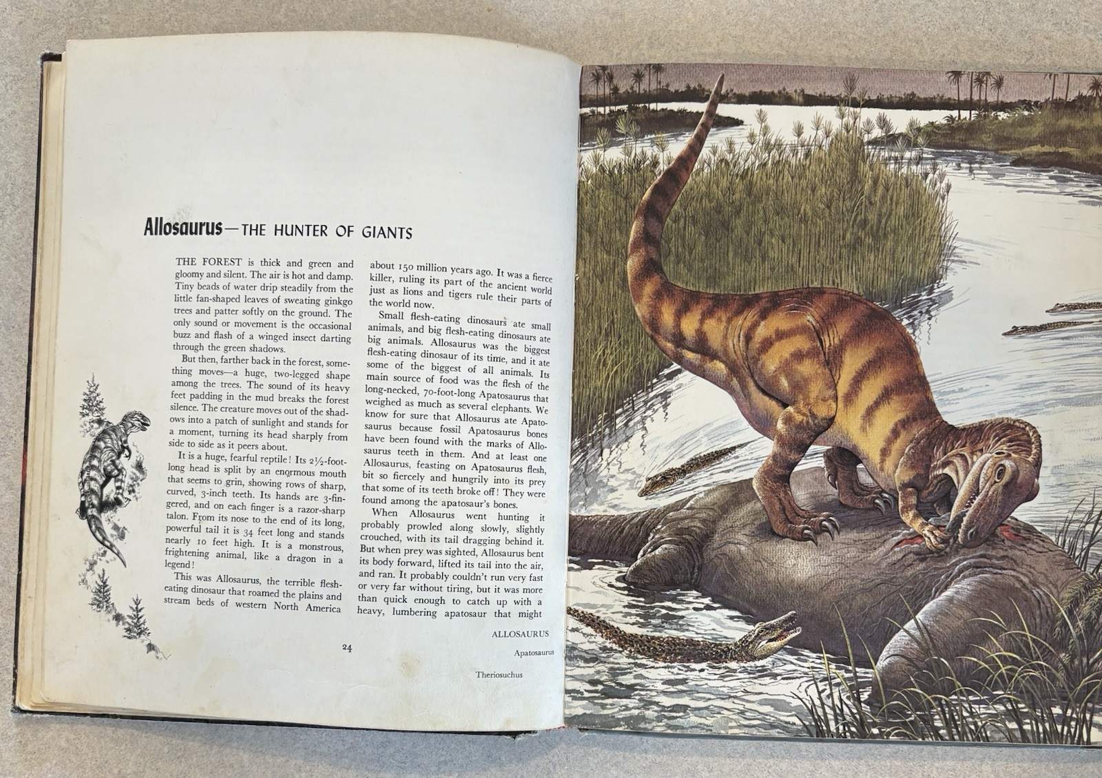 Album of Dinosaurs by Tom McGowen (1972, Hardcover) FIRST PRINTING