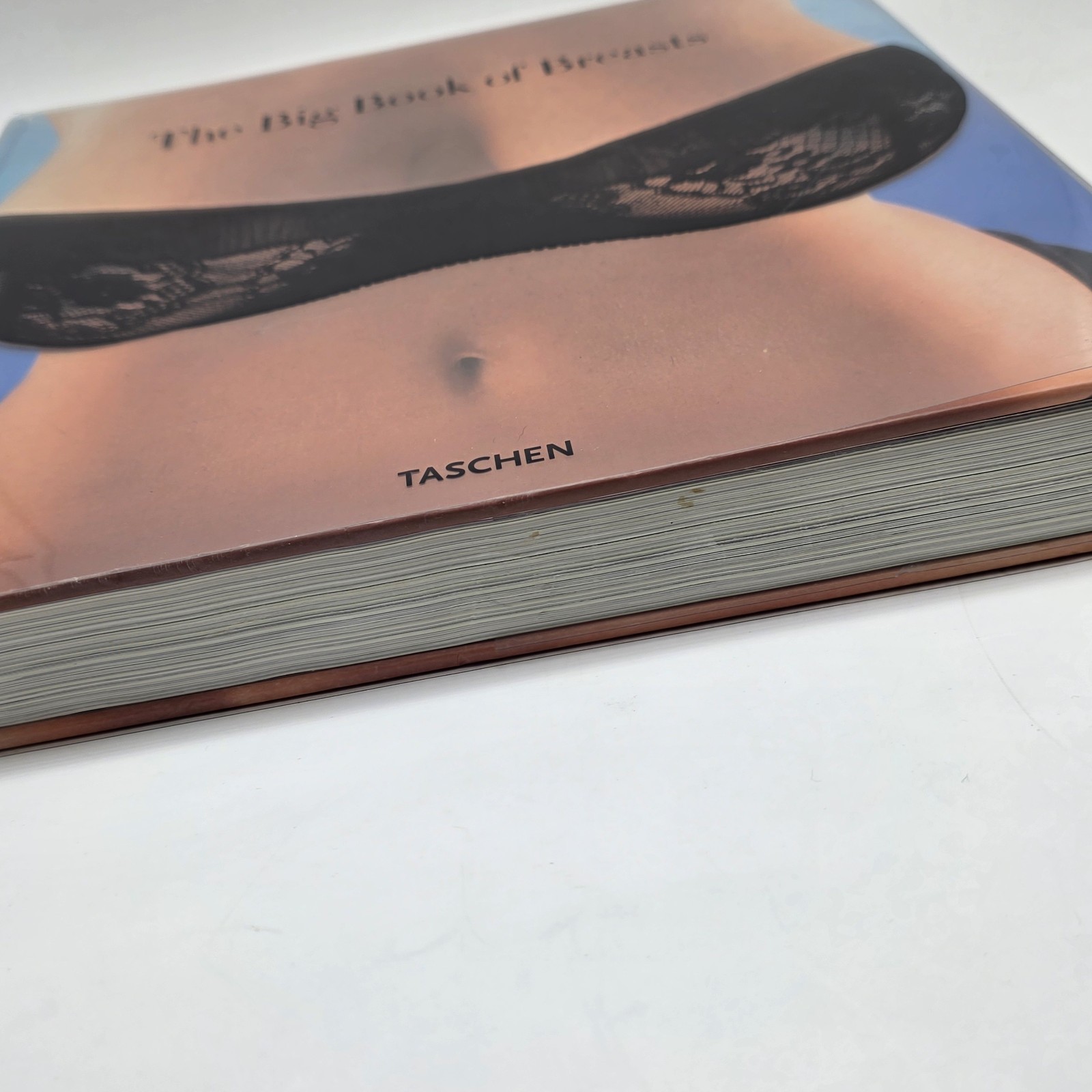 Big Book of Breasts by Dian Hanson (2006, Hardcover) Erotica Adult Nudity
