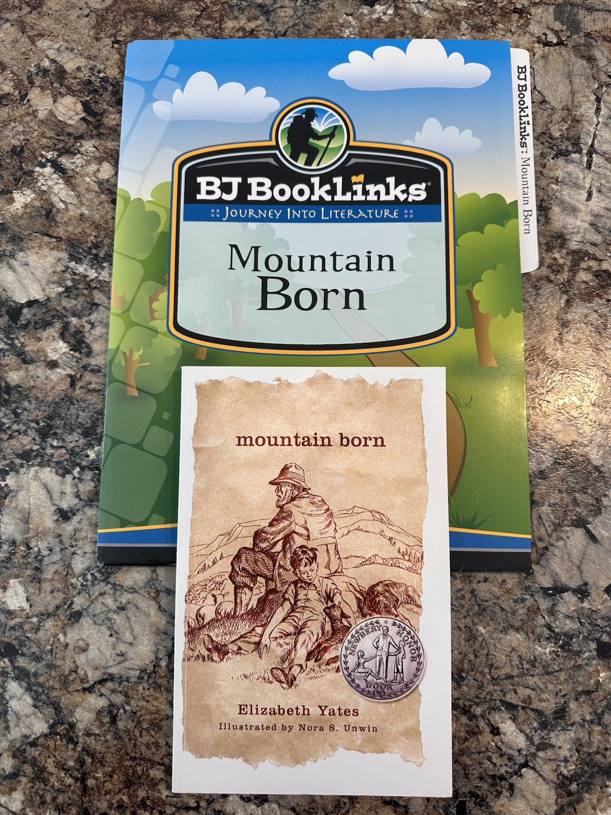 BJ BookLinks: Mountain Born PB Chapter Book Yates/Unwin + Lesson Plans