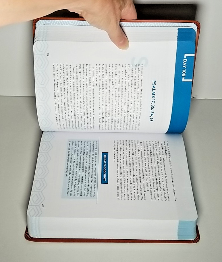 The Bible Recap Deluxe Edition: A One-Year Guide – Tara Leigh Cobble – Bethany