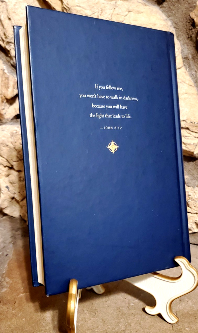 The Daily God Book: A Year with Jesus Neil Wilson Tyndale Pub. a walk w/Jesus