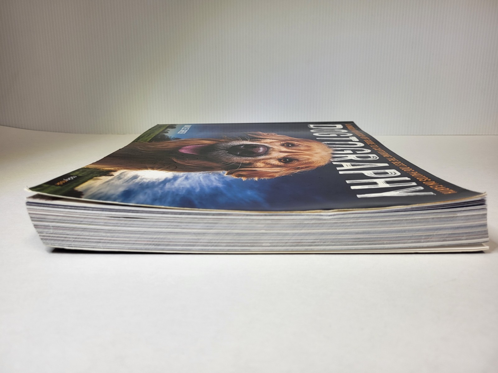Dogtography by Kaylee Greer ROCKY Nook Trade Paperback 2020 Photography
