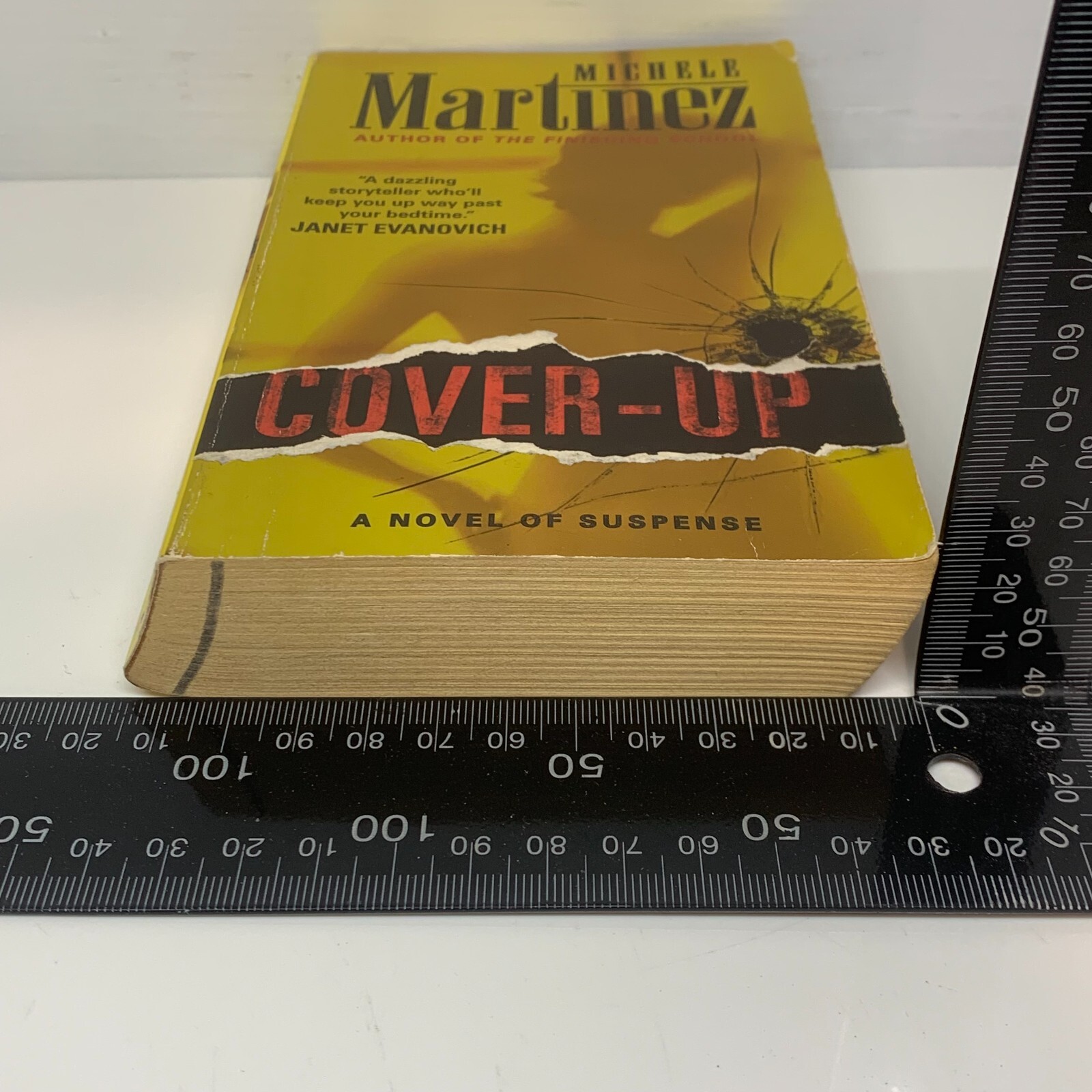 Cover-up: A Novel of Suspense by Michele Martinez (Paperback Book) Mystery