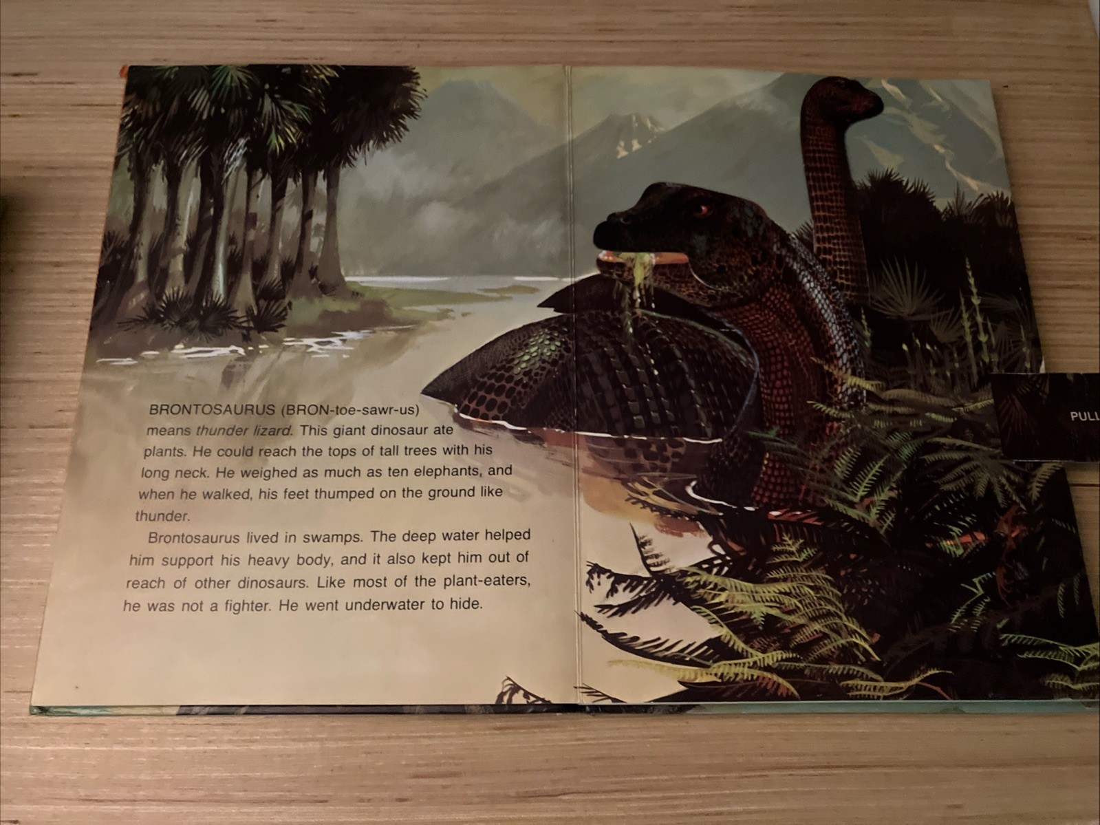 Great Dinosaurs – A Hallmark Pop-up Book