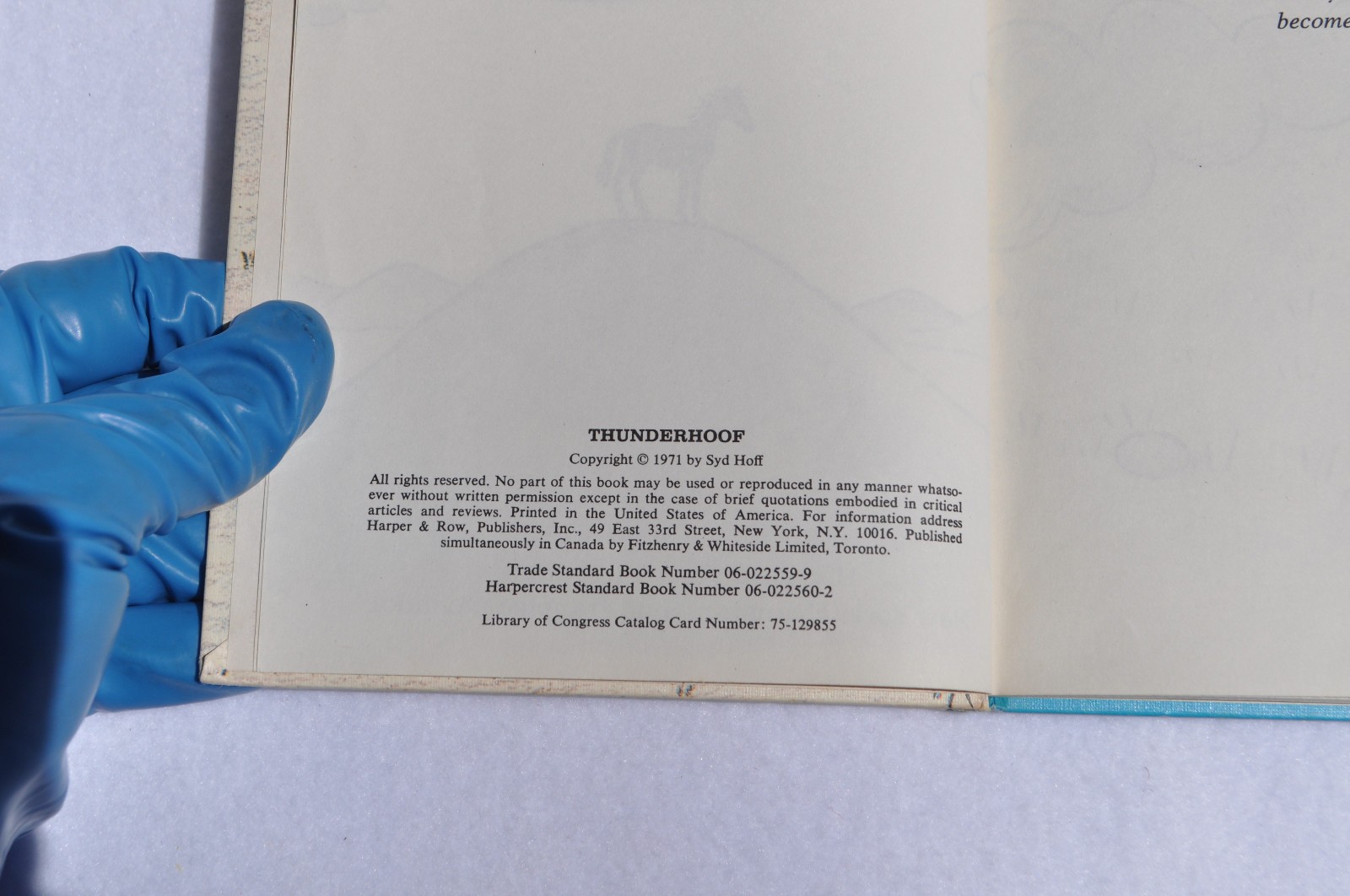 Horse Books For Kids: Horace, The Horse; Thunderhoof +vinyl record; Baby Horses
