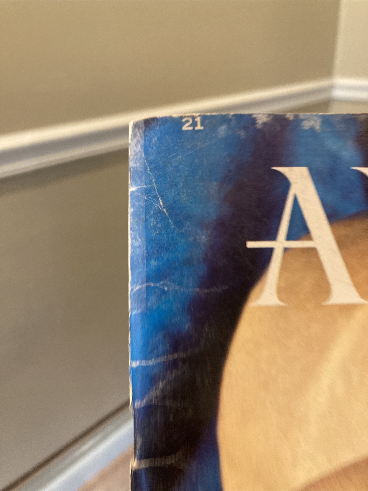ANATOMY by Walter T Foster VINTAGE Paperback Drawing Book, Large Size QUICK SHIP