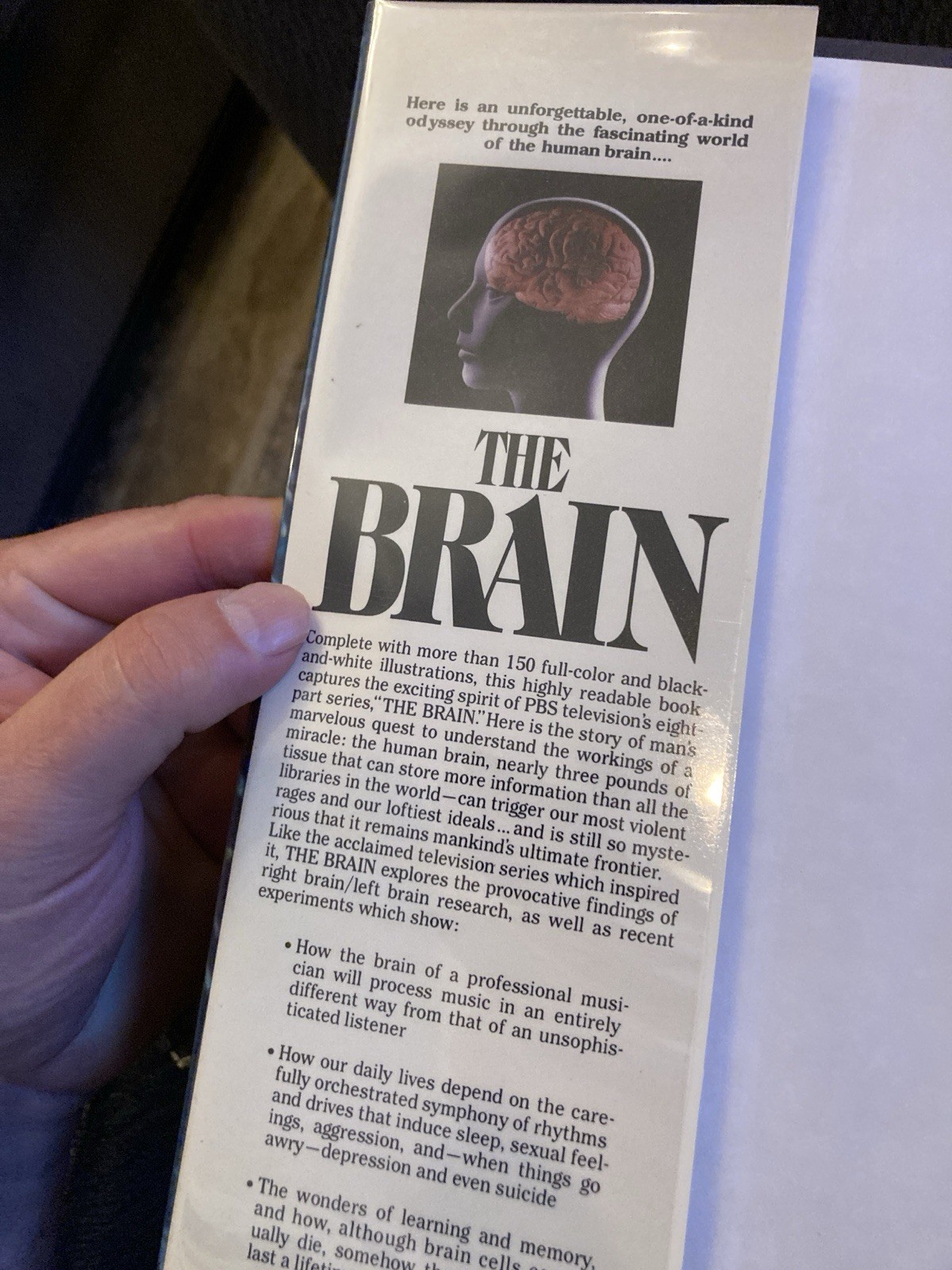 Richard Restak The Brain Bantam Hardcover Illustrated Dust Jacket Nonfiction