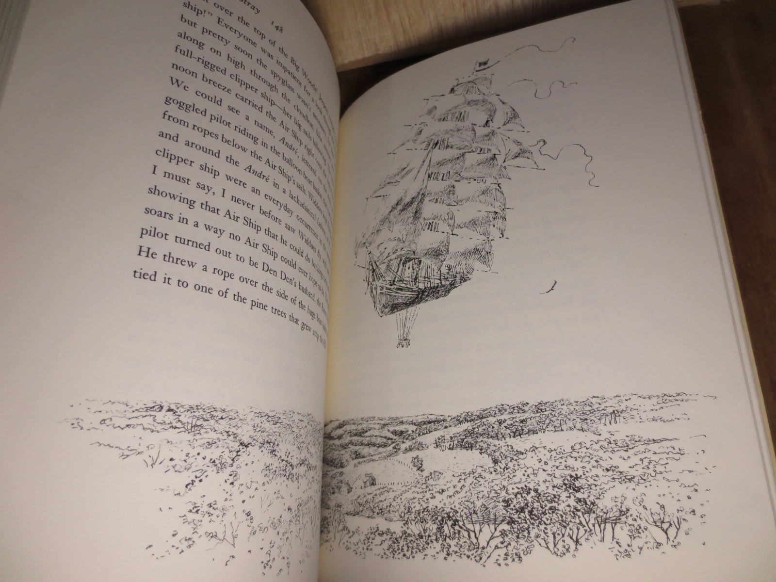 The Stray by Betsy James Wyeth Illustrated by Jamie Wyeth 1st Ed 1979 VTG